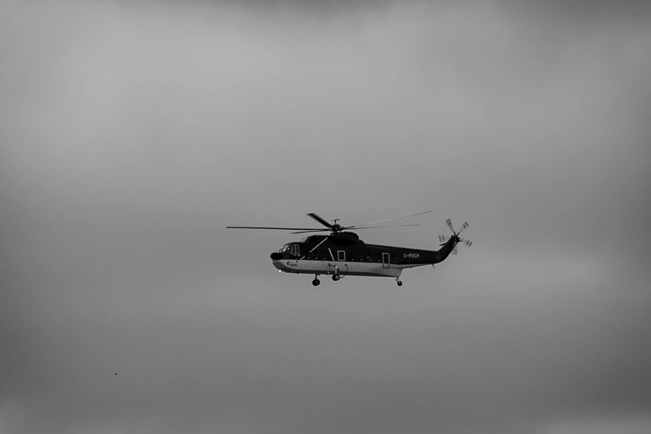 MM5_2085.jpg