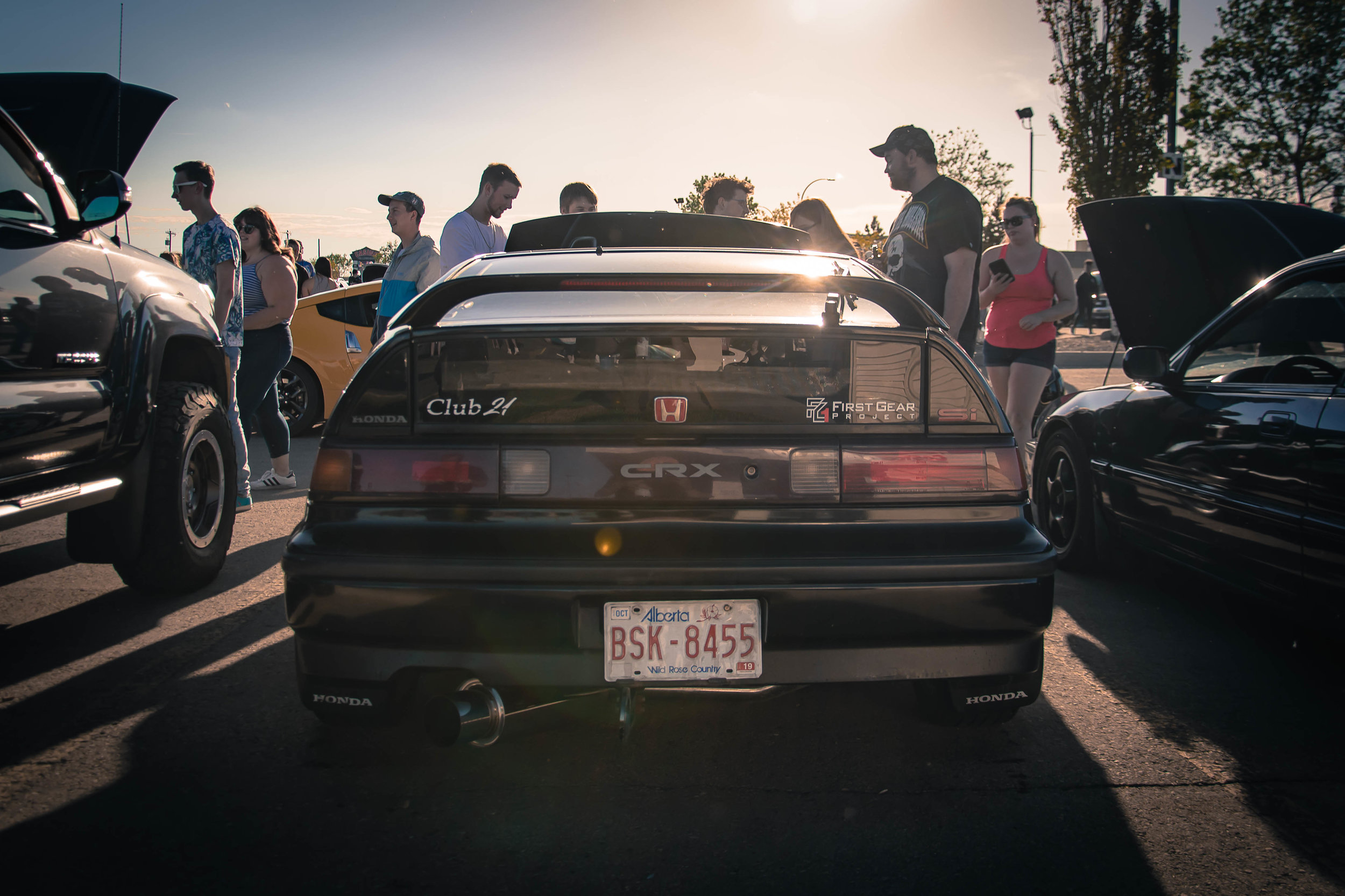 MM5_5010.jpg