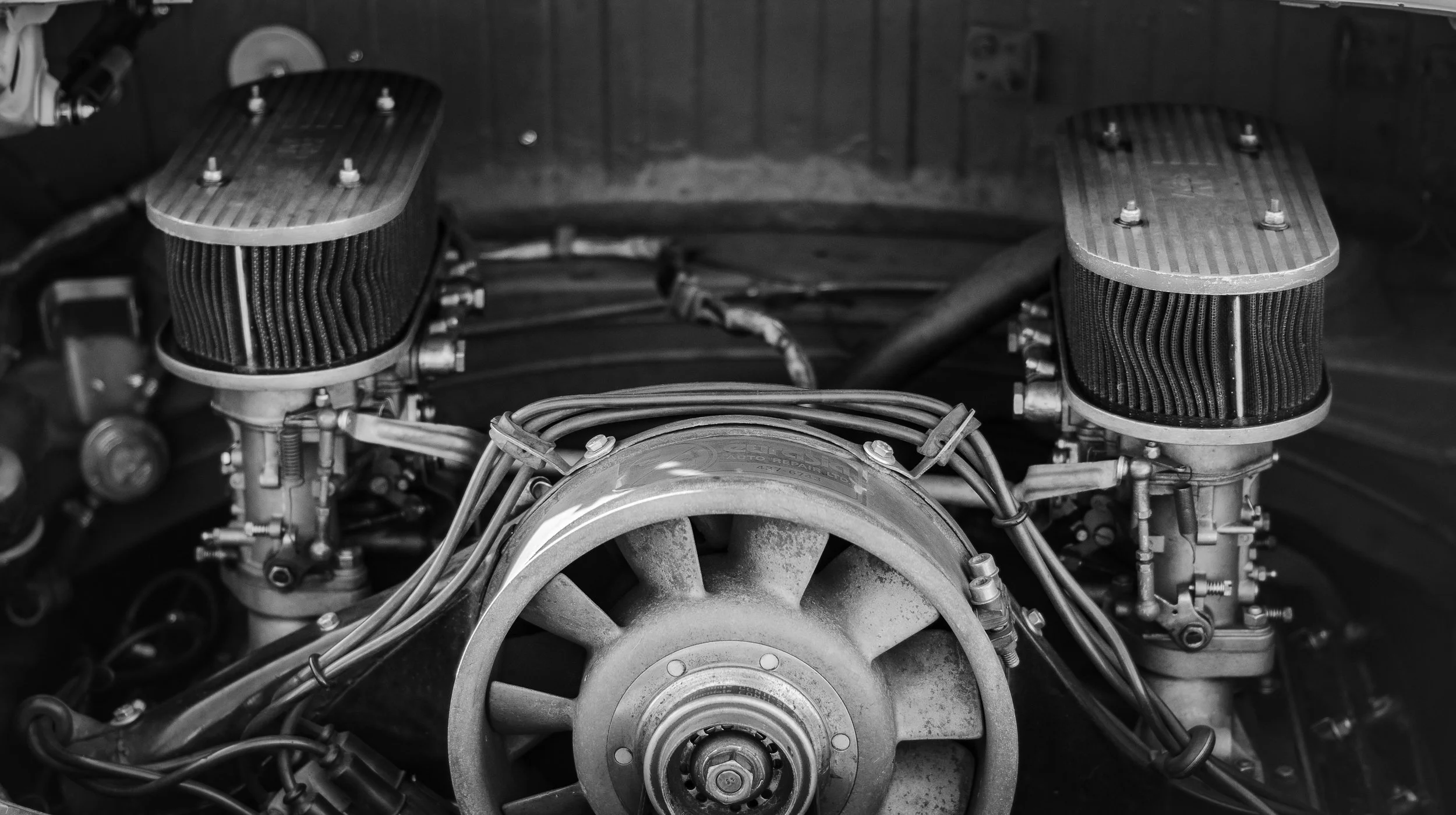 MM5_3535.jpg