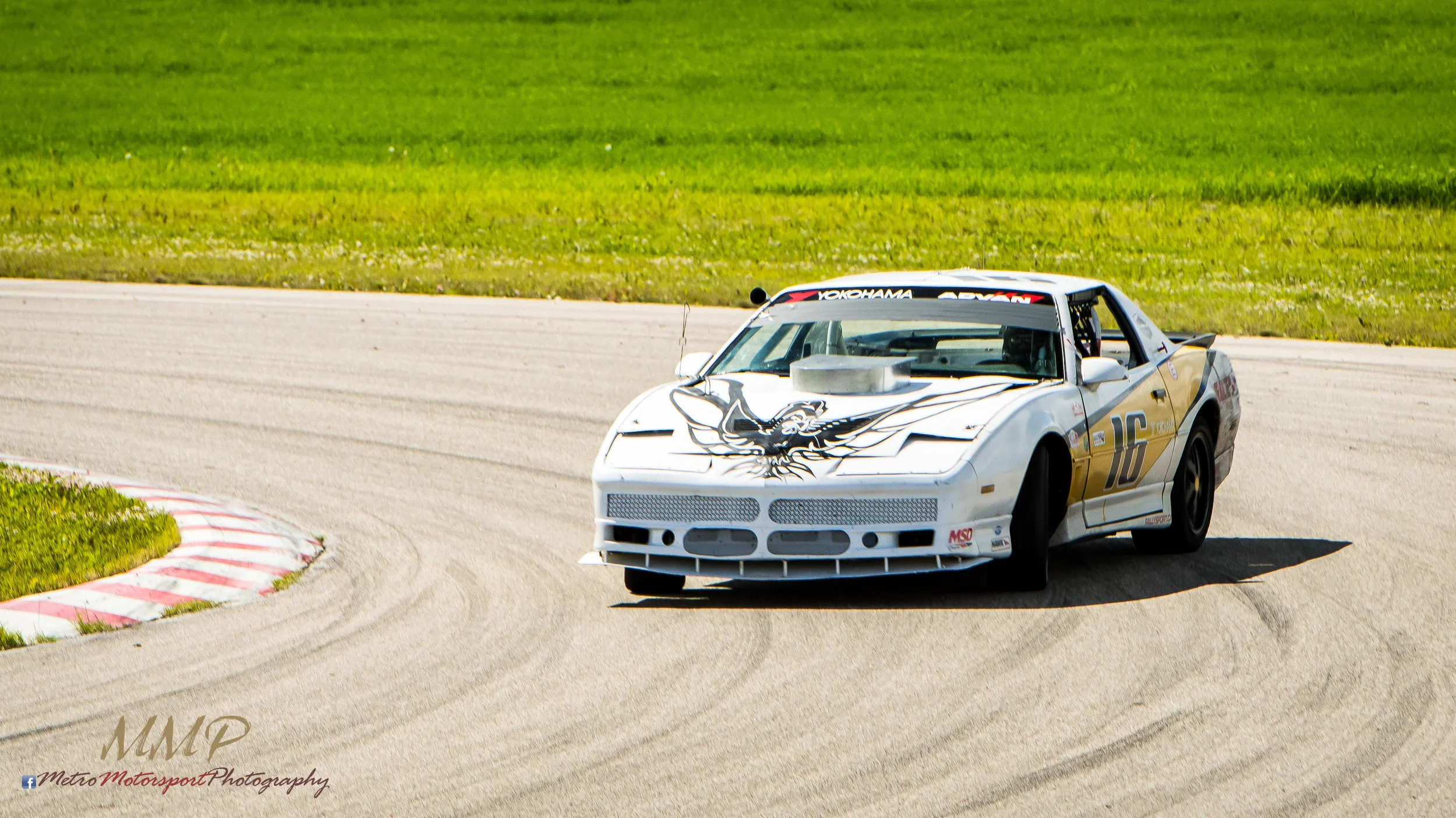 MM5_9879.jpg