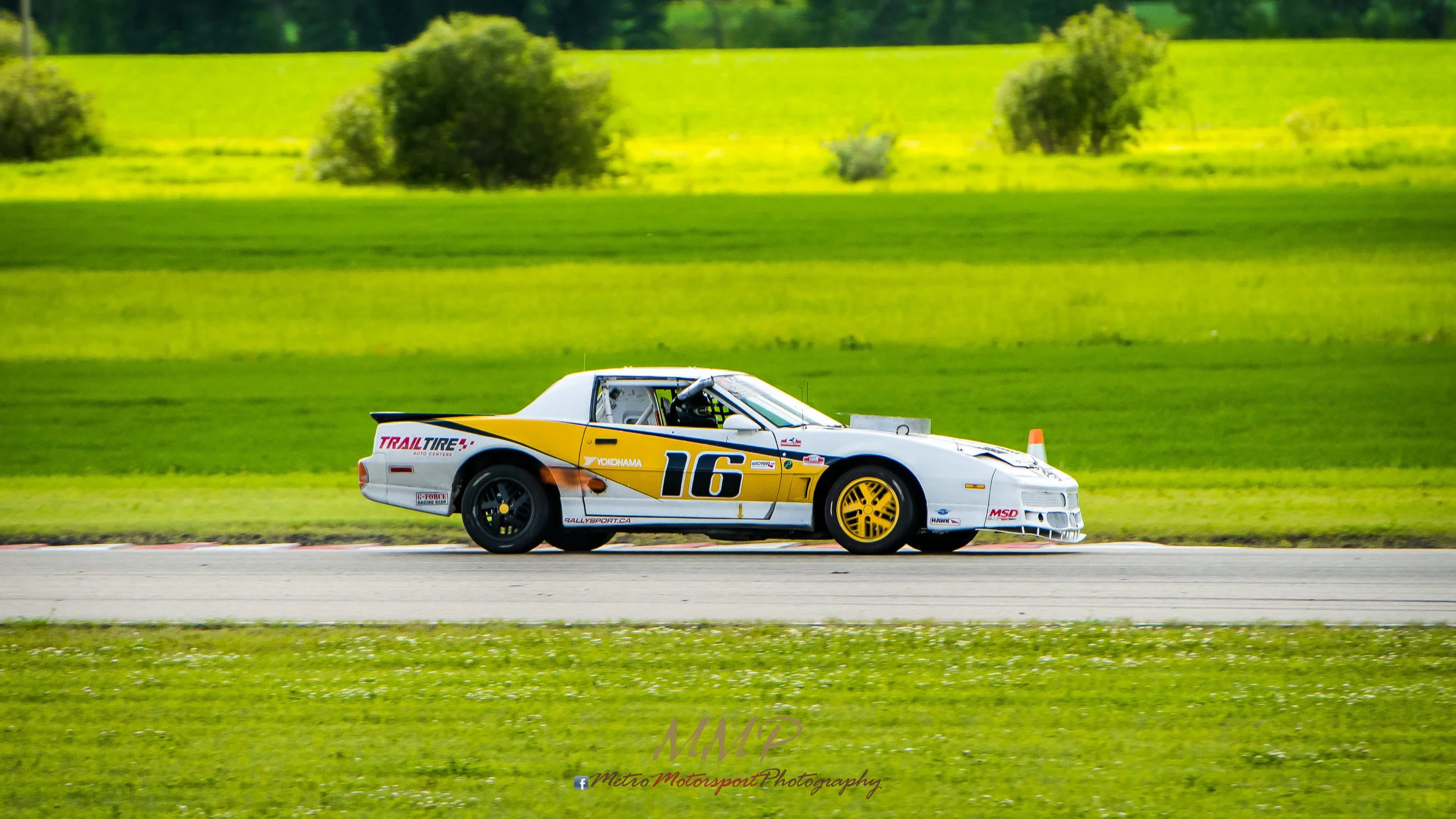 MM5_9951.jpg