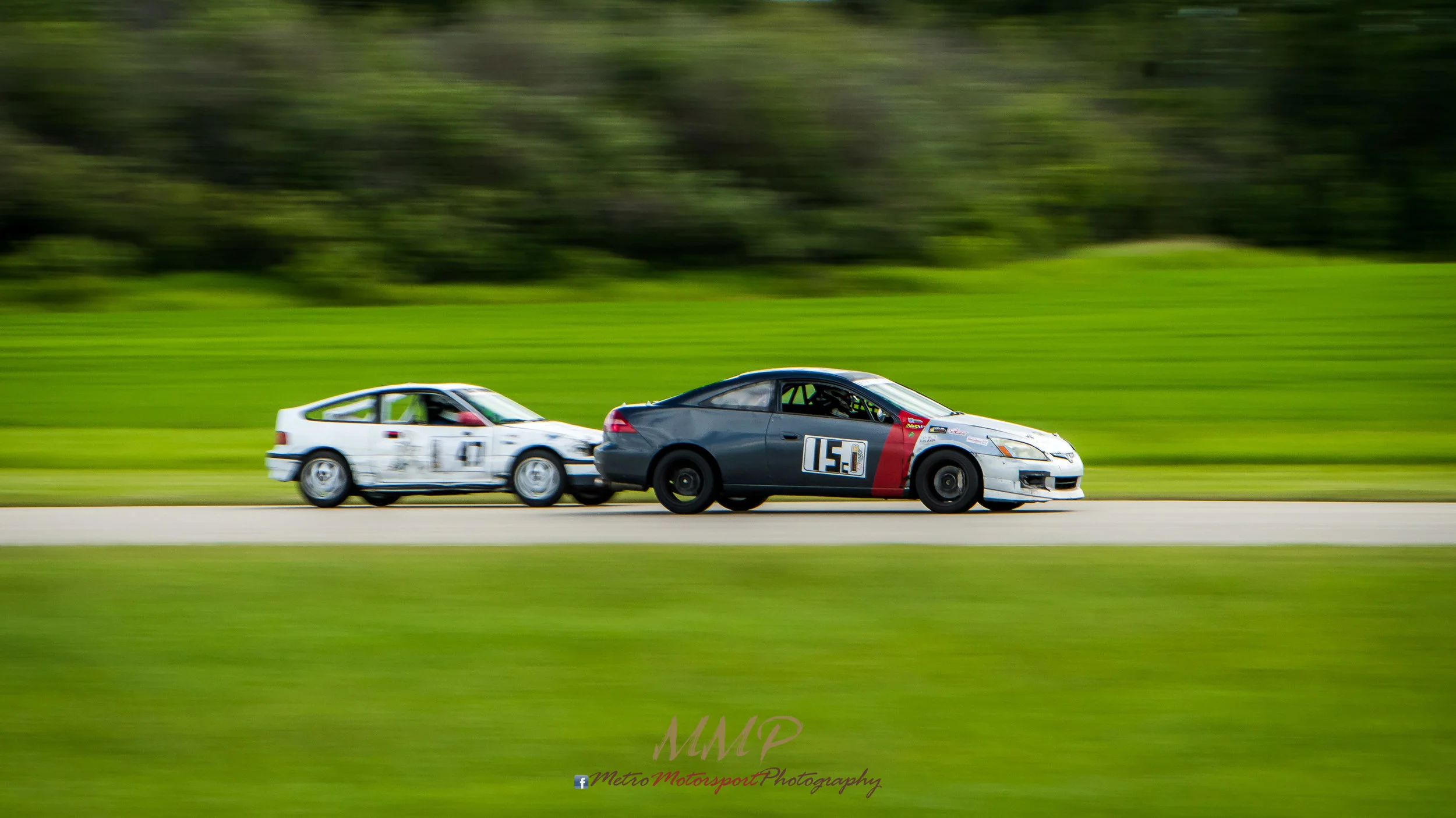 MM5_9939.jpg