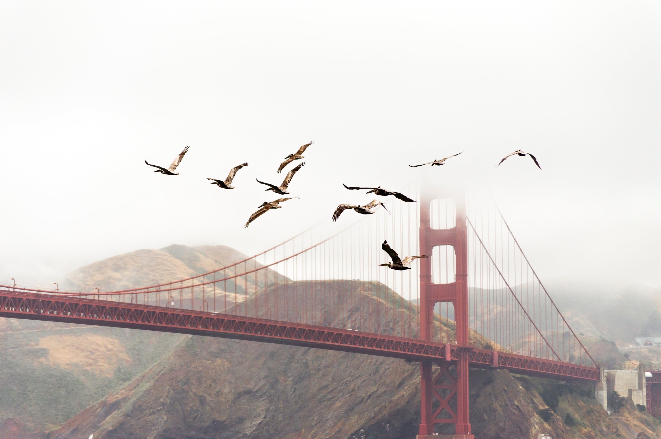 andrew-ruiz-_dwwHrYRWcM-unsplash.jpg