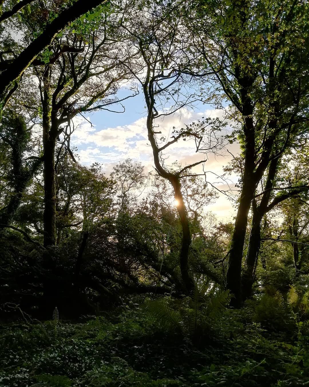 Peaceful perfection 🙏🏽 Remember to take time in nature, and soak up all its abundant beauty 🌿 

The gorgeous view I woke up to this morning and am still savouring now before sleep ✨ So full of love &amp; gratitude after spending a most magical tim