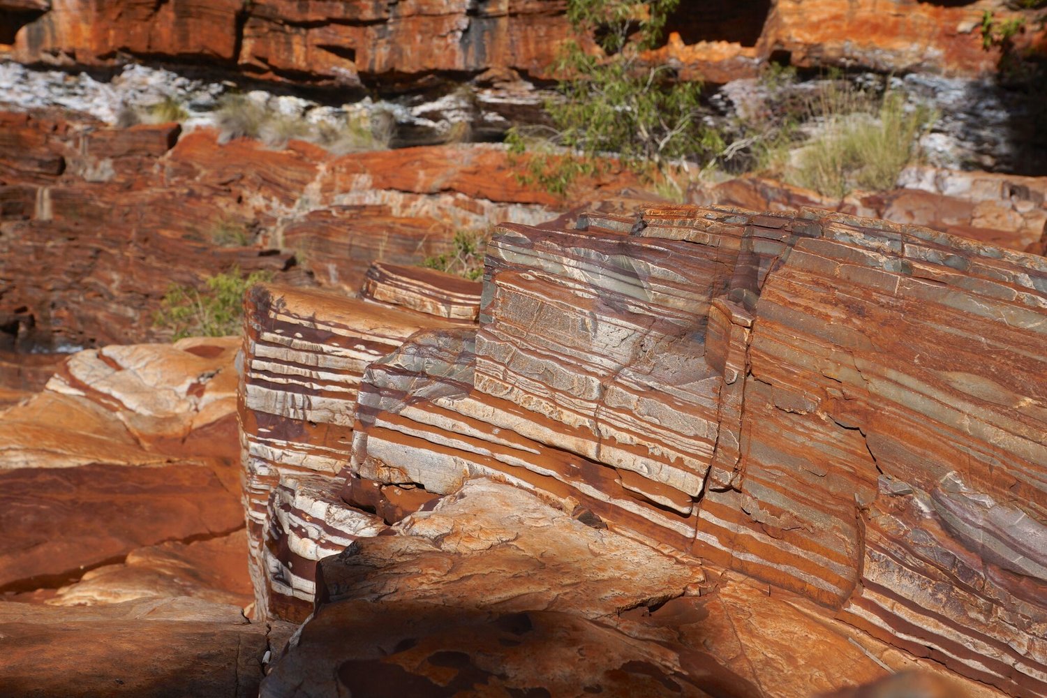 Banded Iron Formations hold clues to the earliest rise of oxygen on Earth