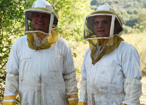 Photo courtesy of William Lewis of Bill's Bees