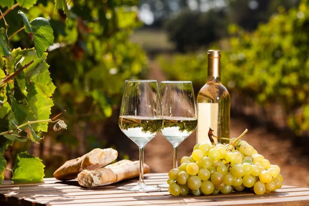 Wine Tasting with Dancing Vines Winery