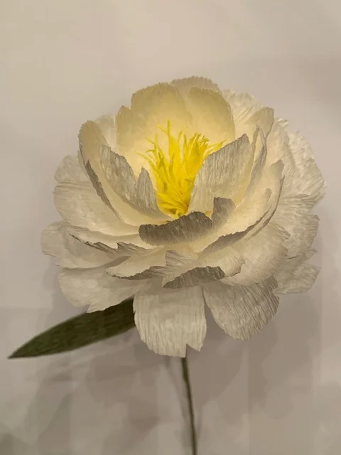 Peony