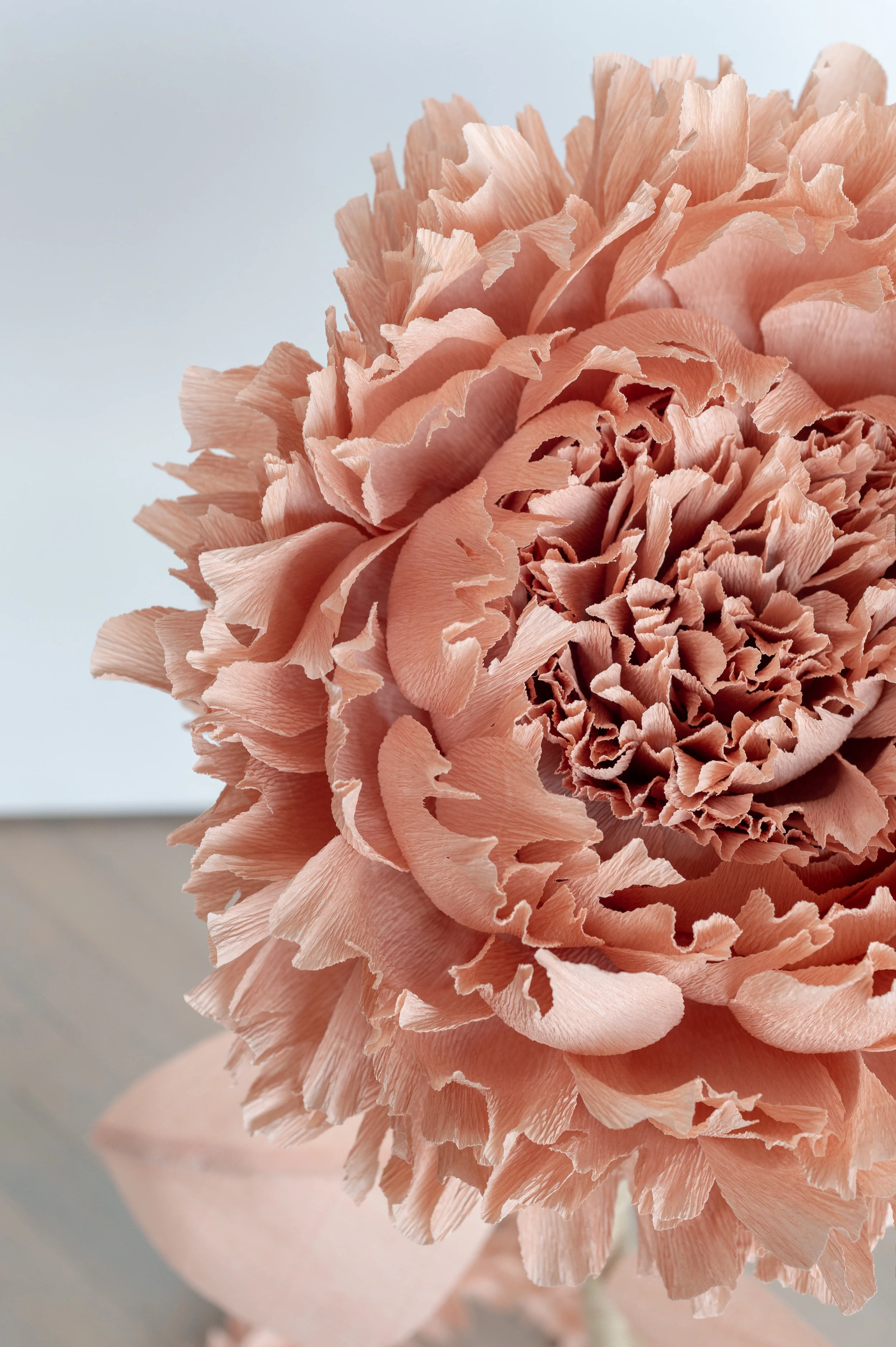 Peony
