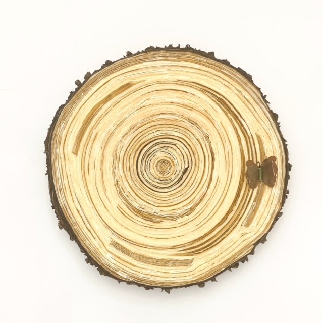 rugged tree ring