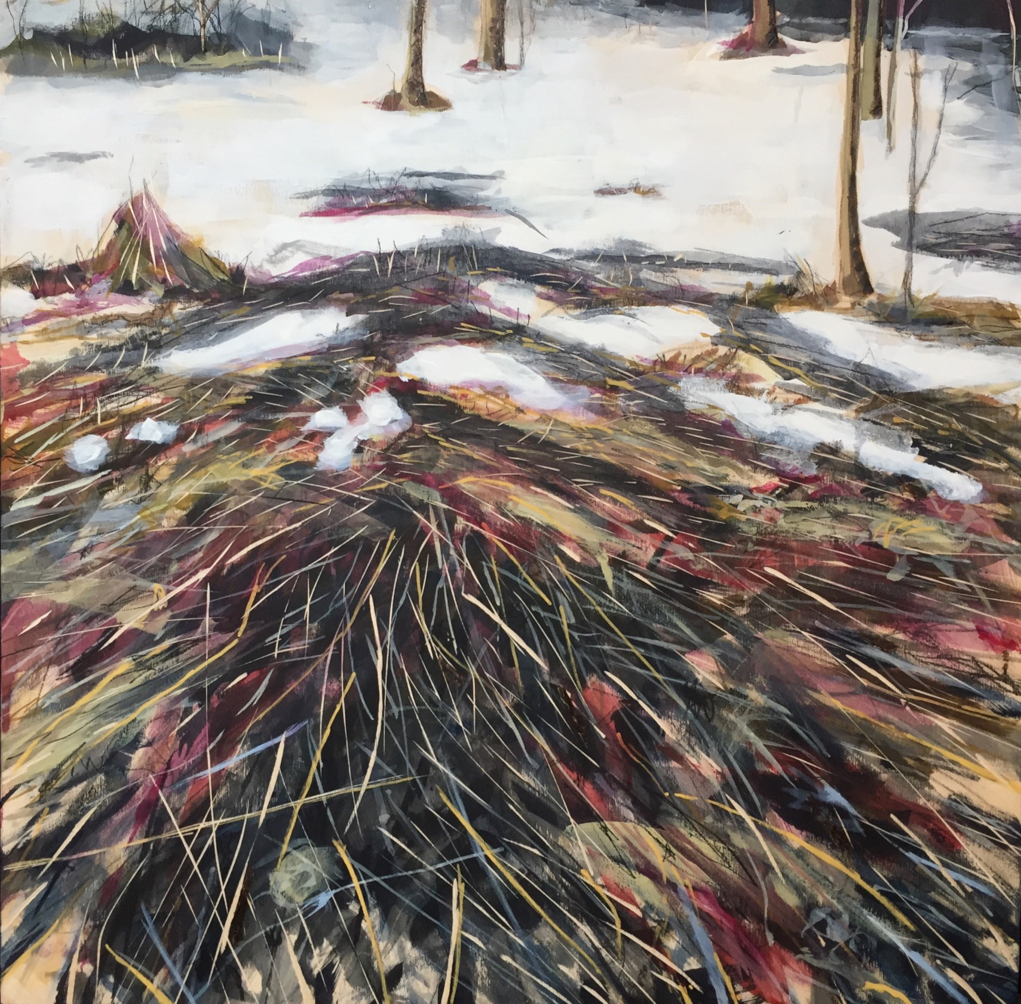 When the Grass Lies Down 2017
