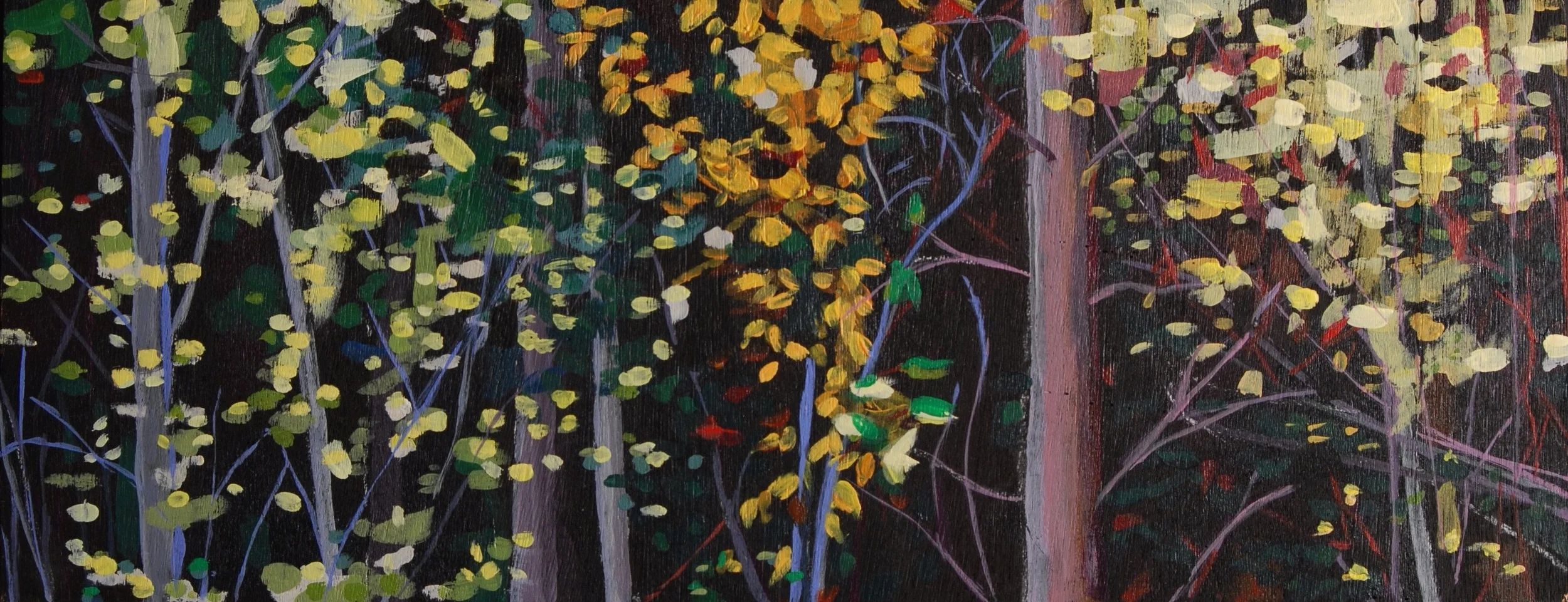 Edge of the Forest Fall 2010