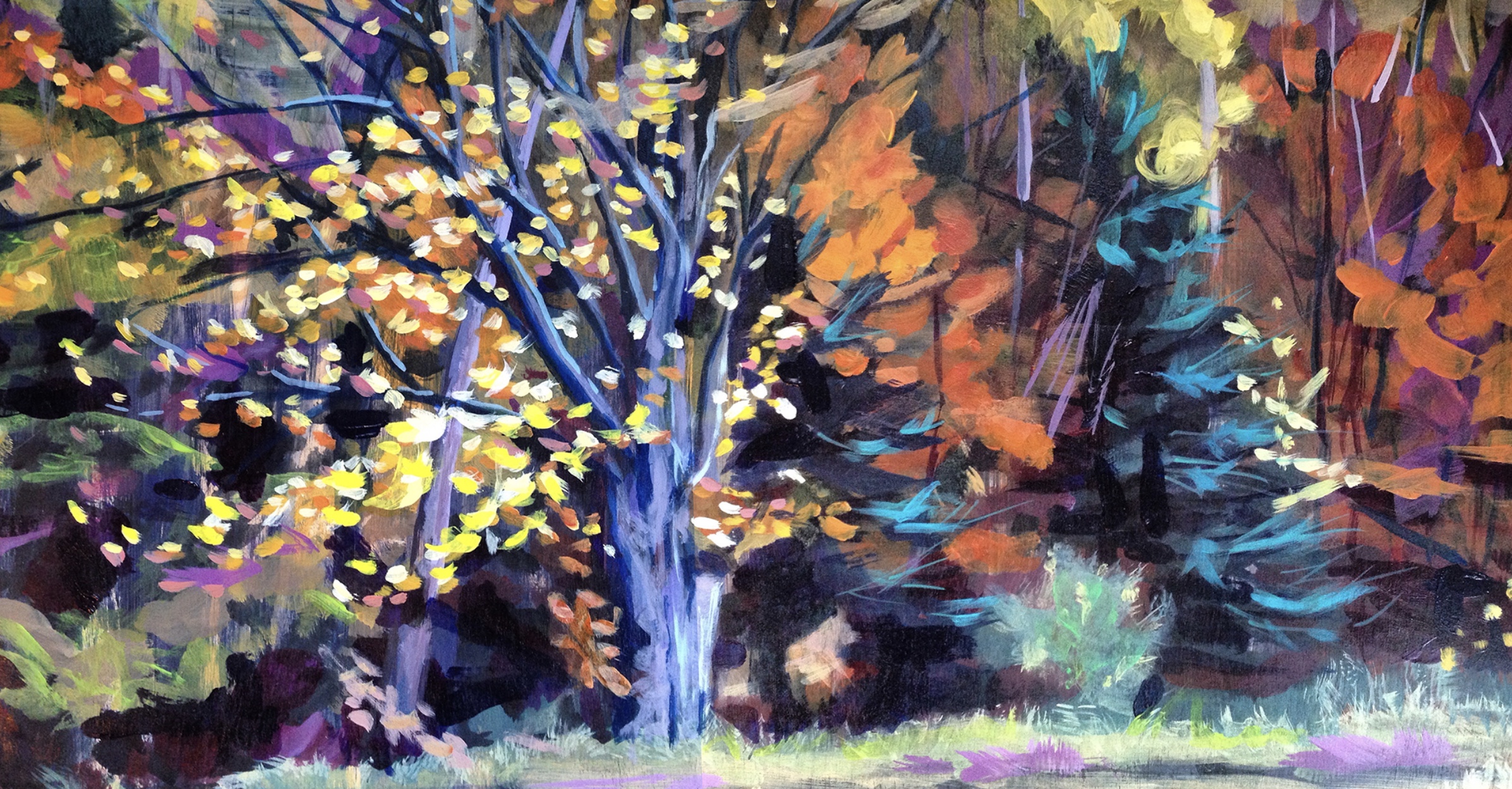 Tornado Maple 2014