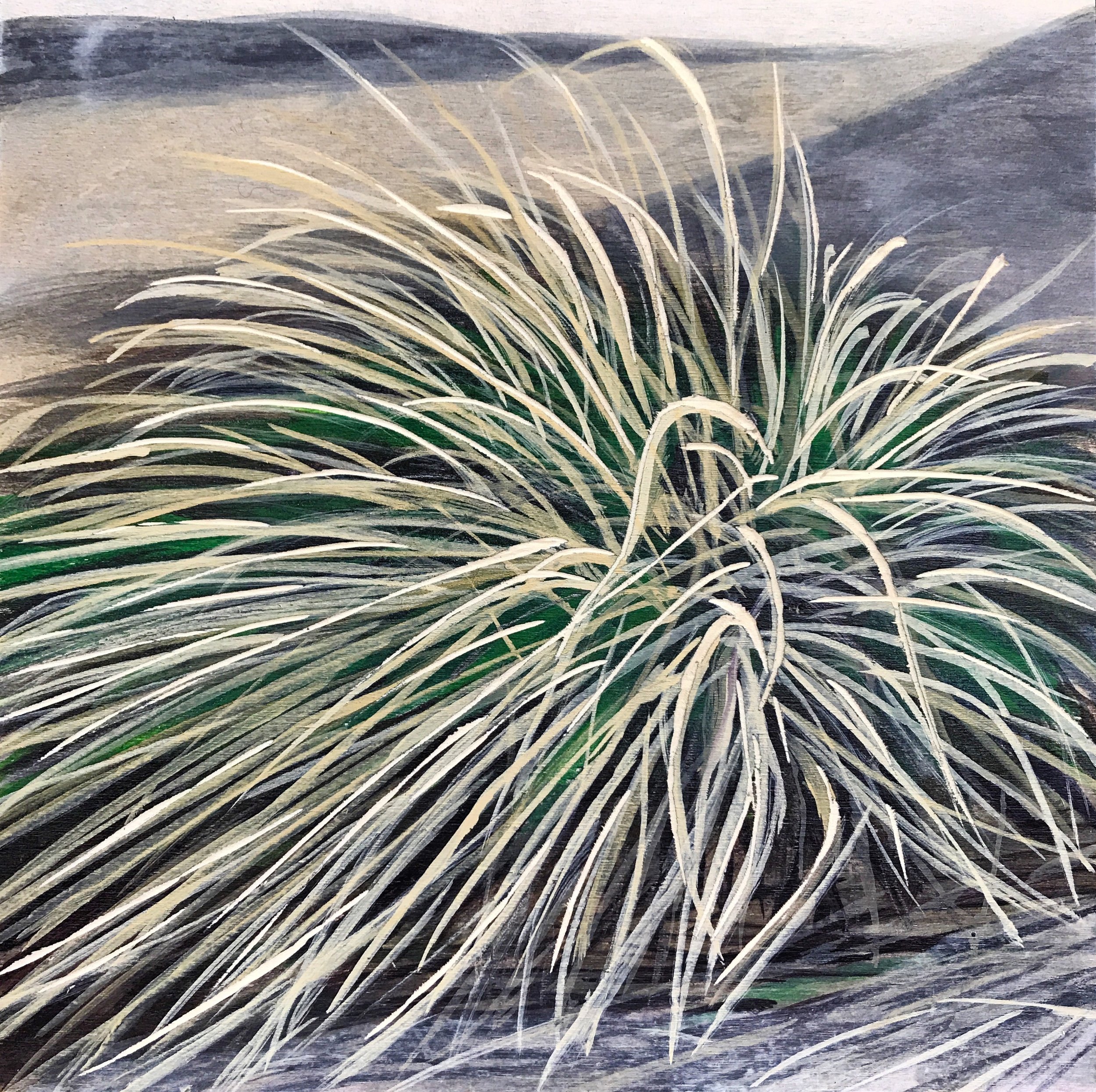 Mundane Beauty, 2018