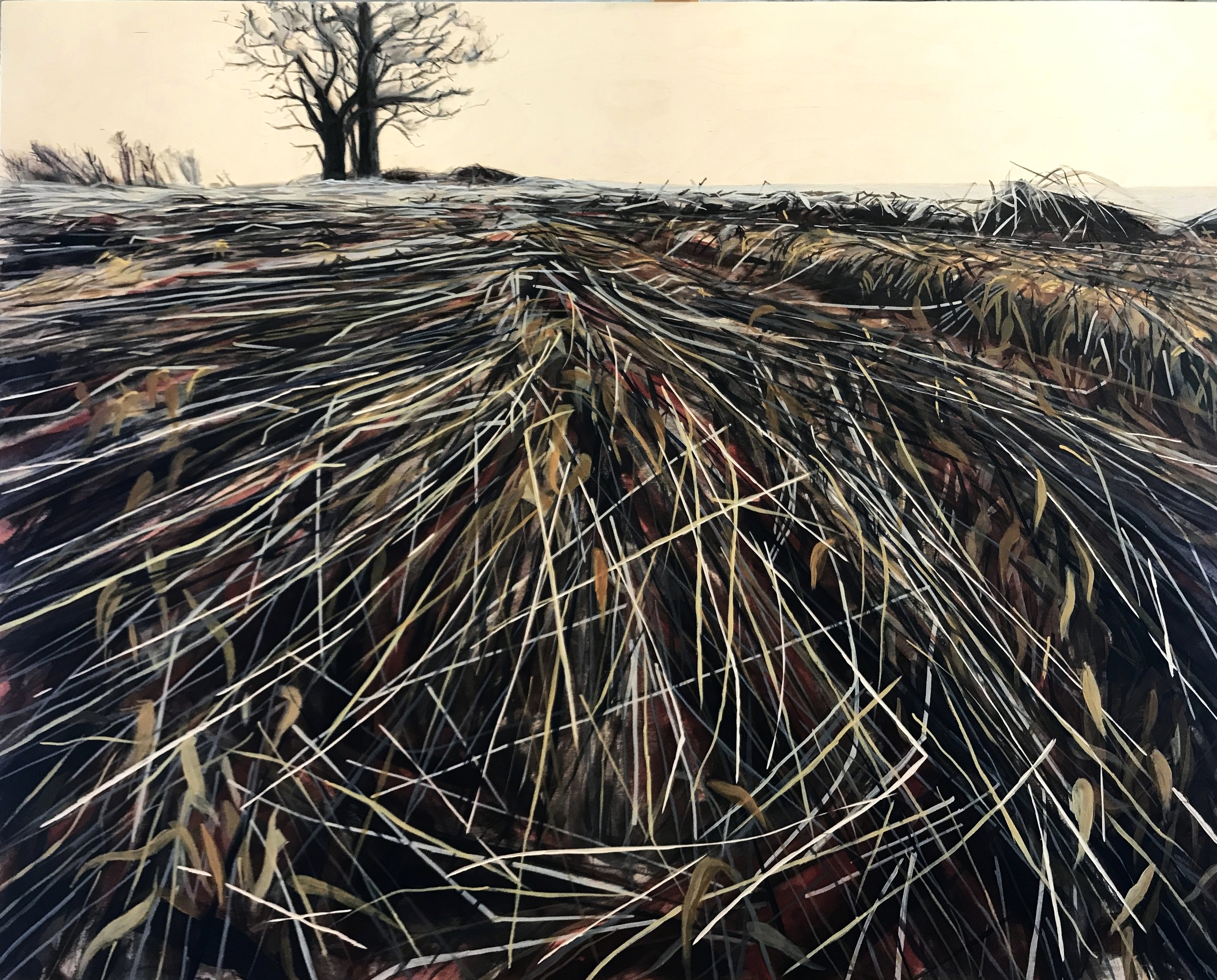 Ditch Grass Correspondence 2018