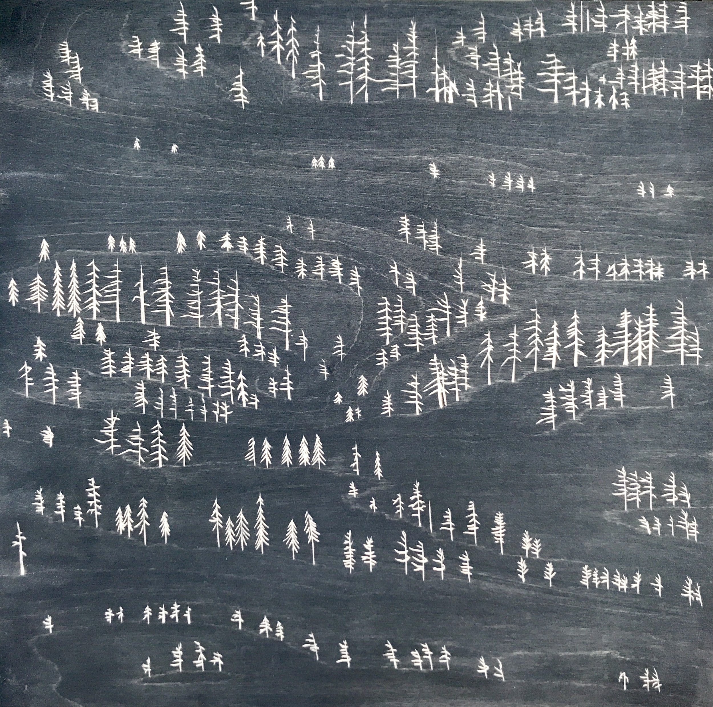 Fogo’s Easterly Prevails, 2019