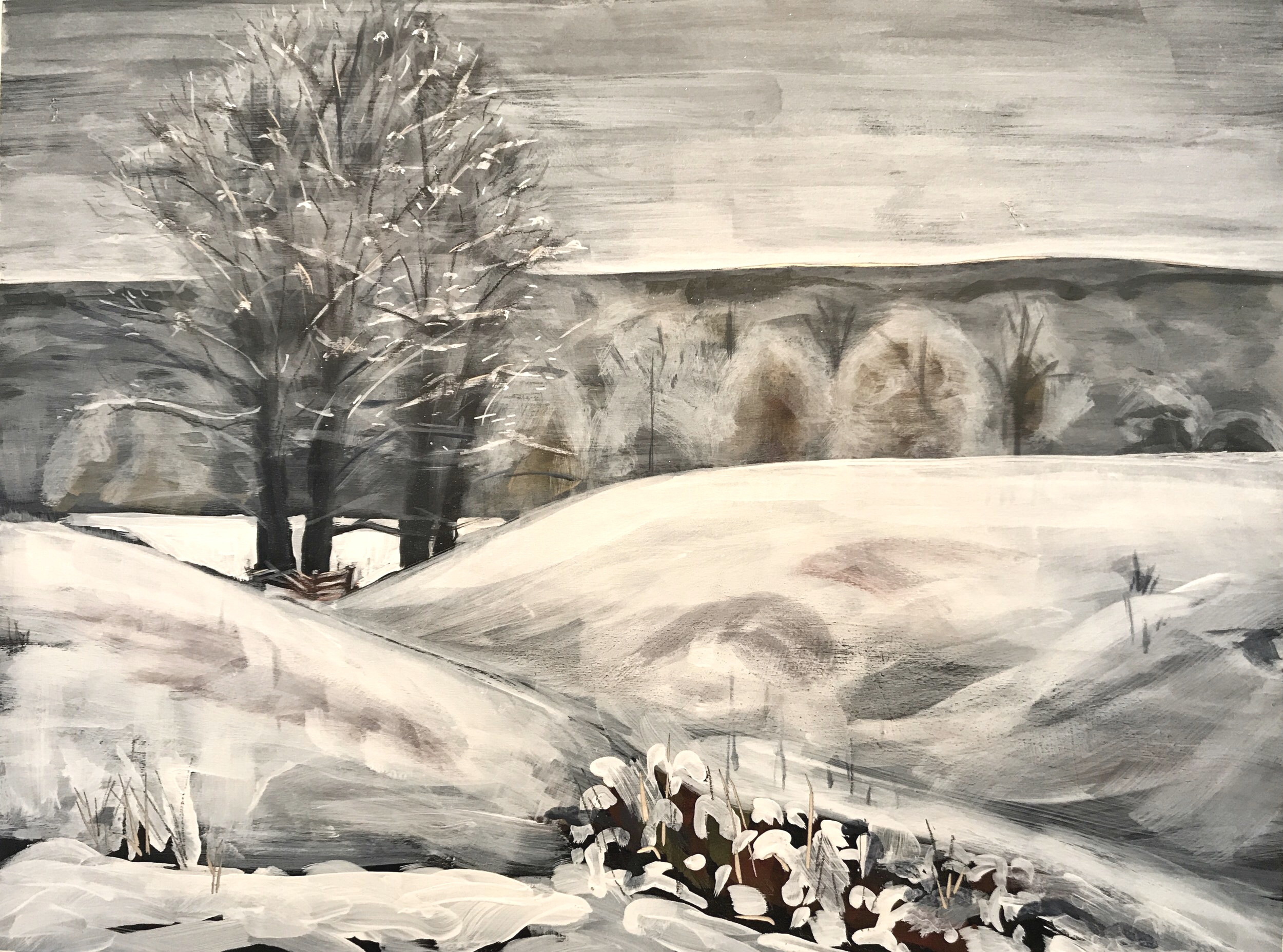 Kitchen View South 2019