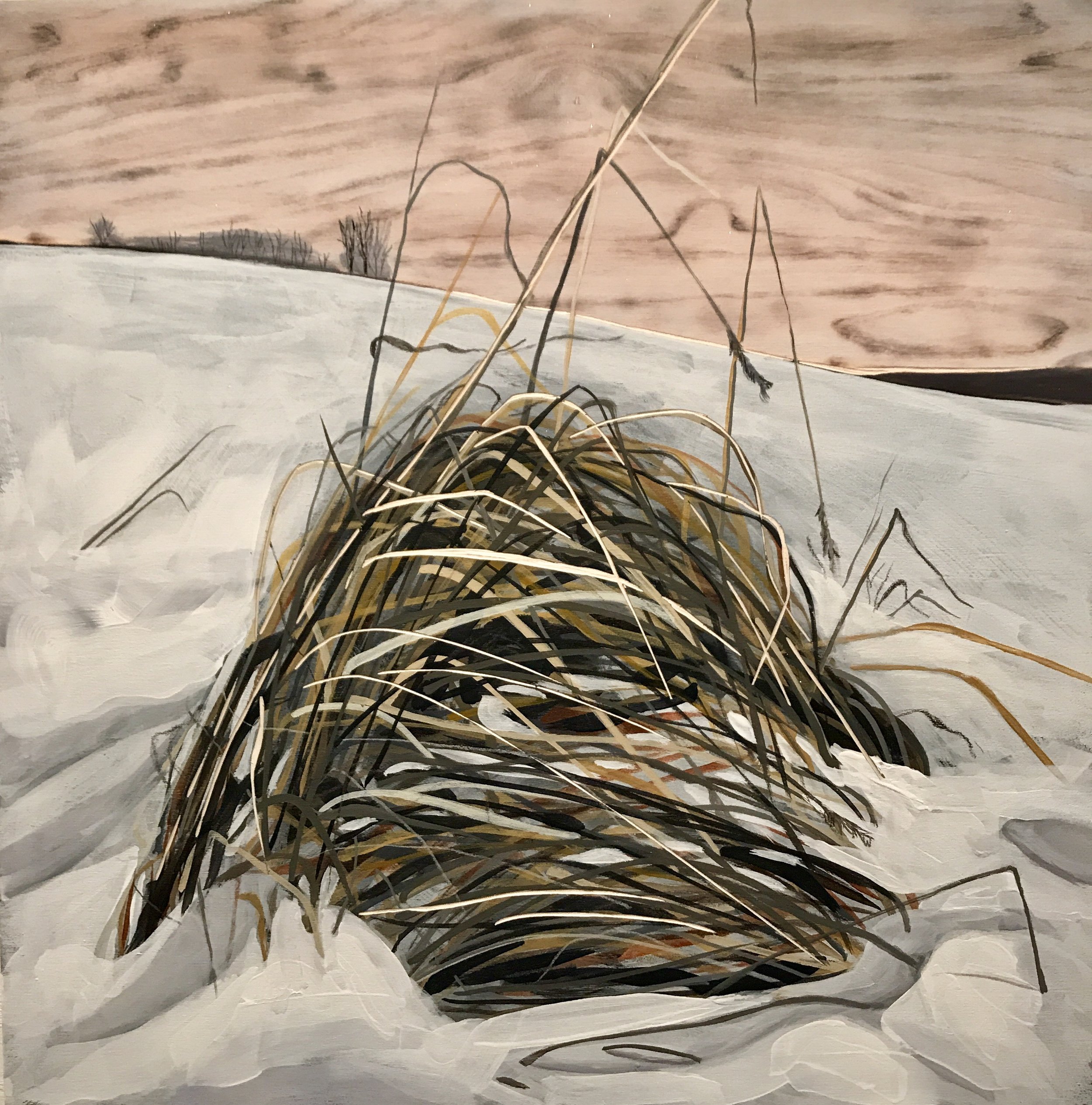 Starring Tenacious Tuft 2019