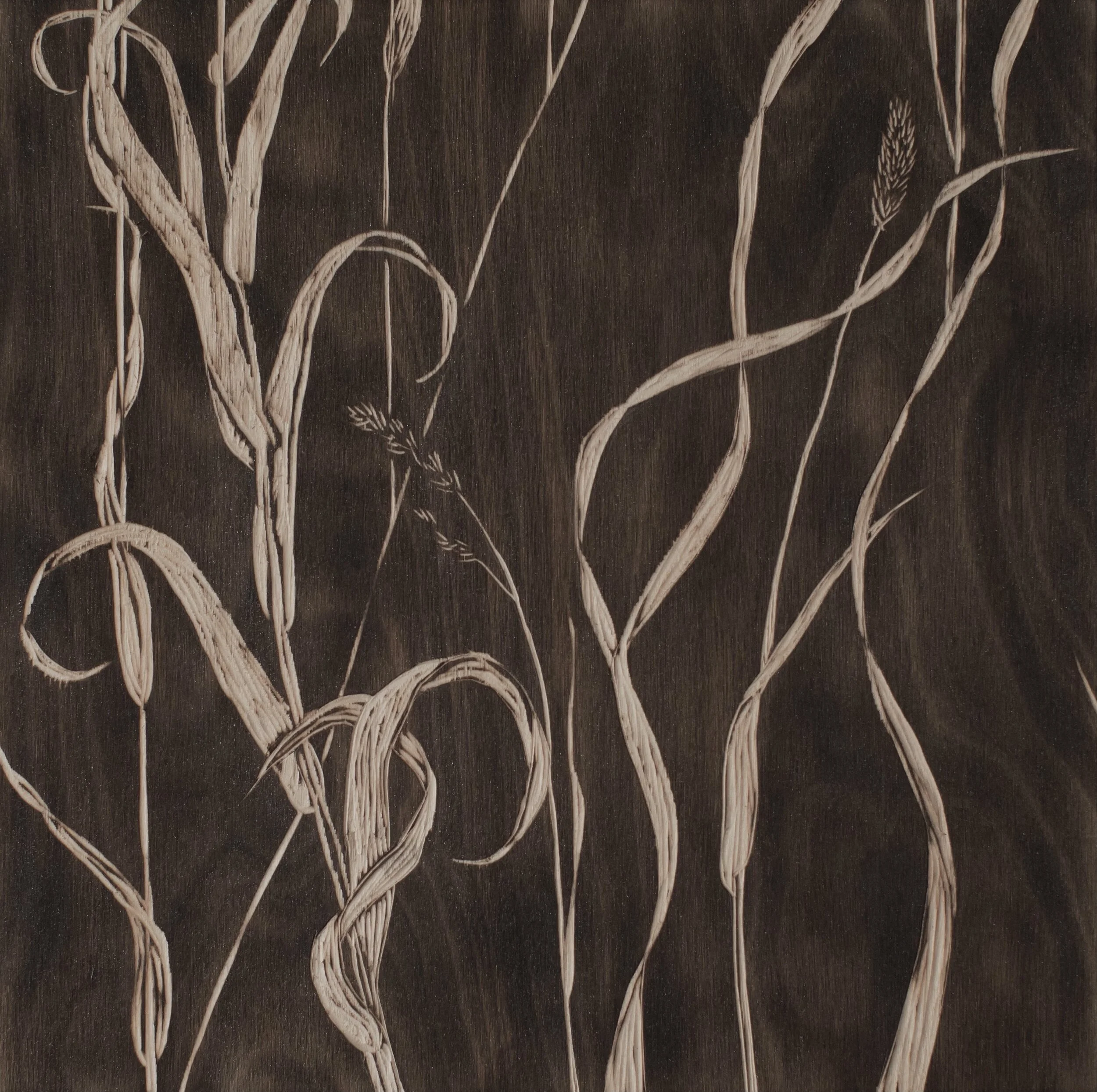 Illumination Grass Studies #2 2020