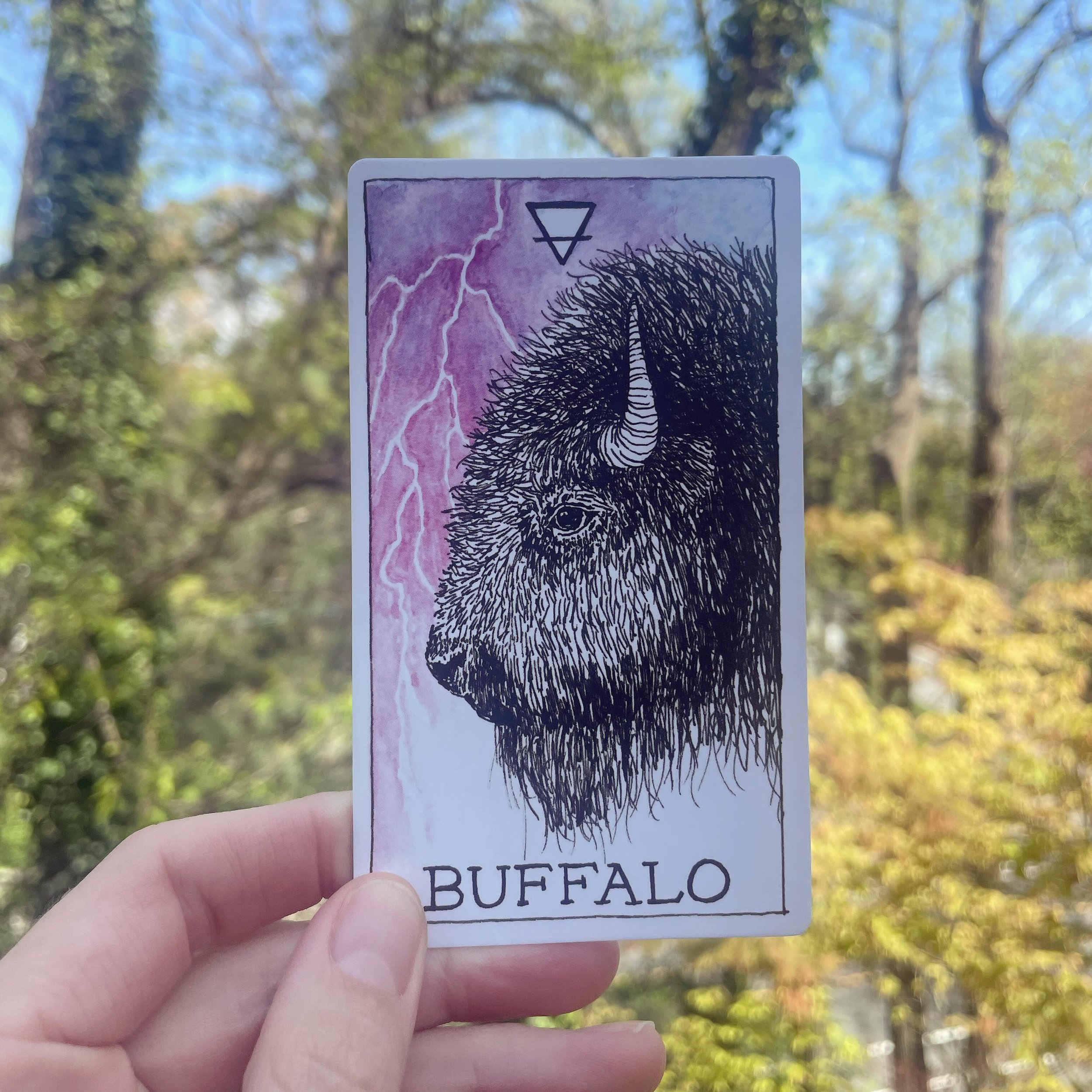 Our eclipse message from the animals&hellip;

&ldquo;The hooves of the mighty Buffalo are grounded in the Earth, yet its heart and mind rise toward heaven. 

The Buffalo sees challenge, hardship, or a bump in the road as an opportunity for upliftment