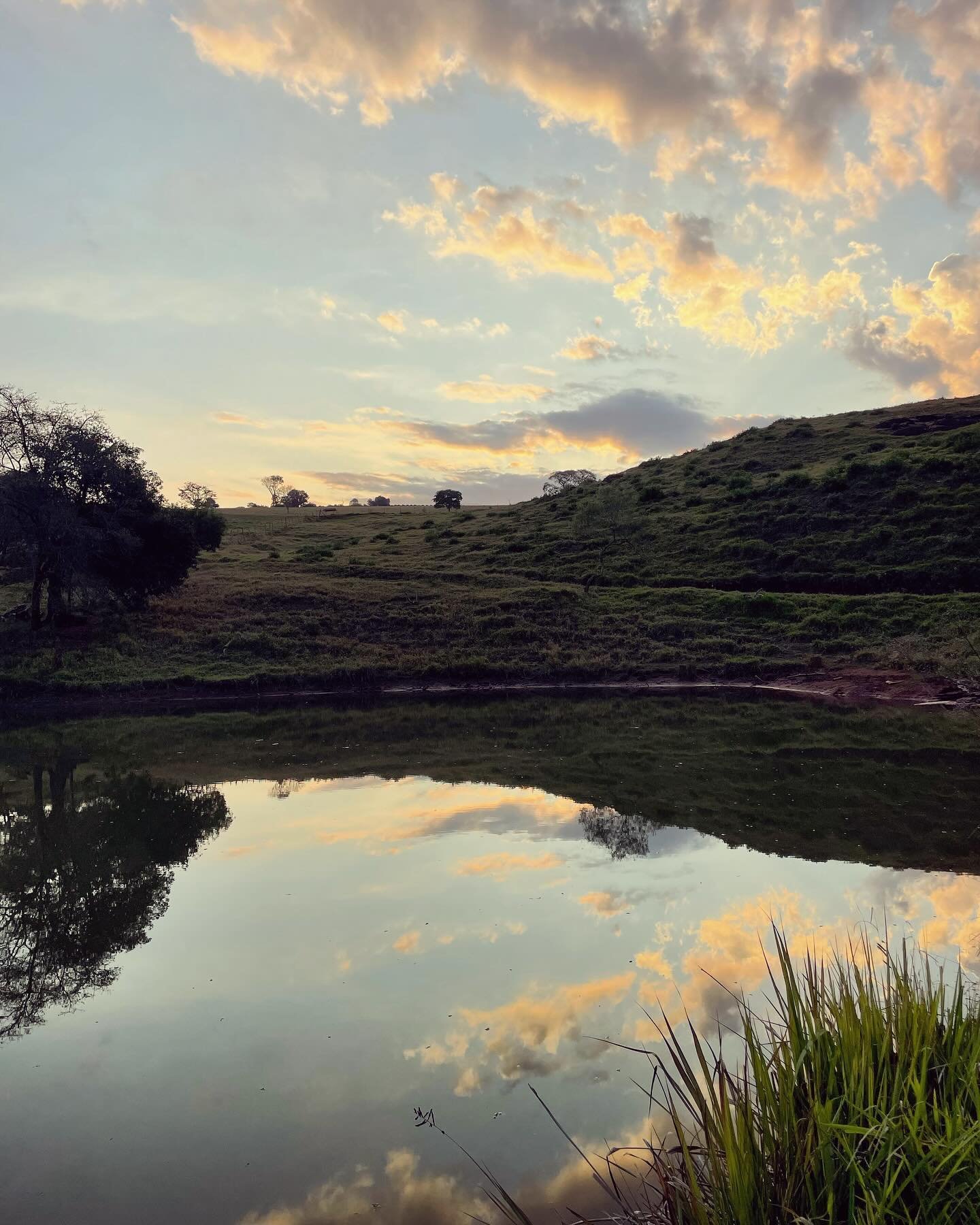 Brazilian Healing Retreat Info Session! 

Join @jessicapsandhu and me for a live + recorded session to ask your questions about our upcoming retreat.

We will discuss the general itinerary, what a day on the farm will look like, what you can expect t