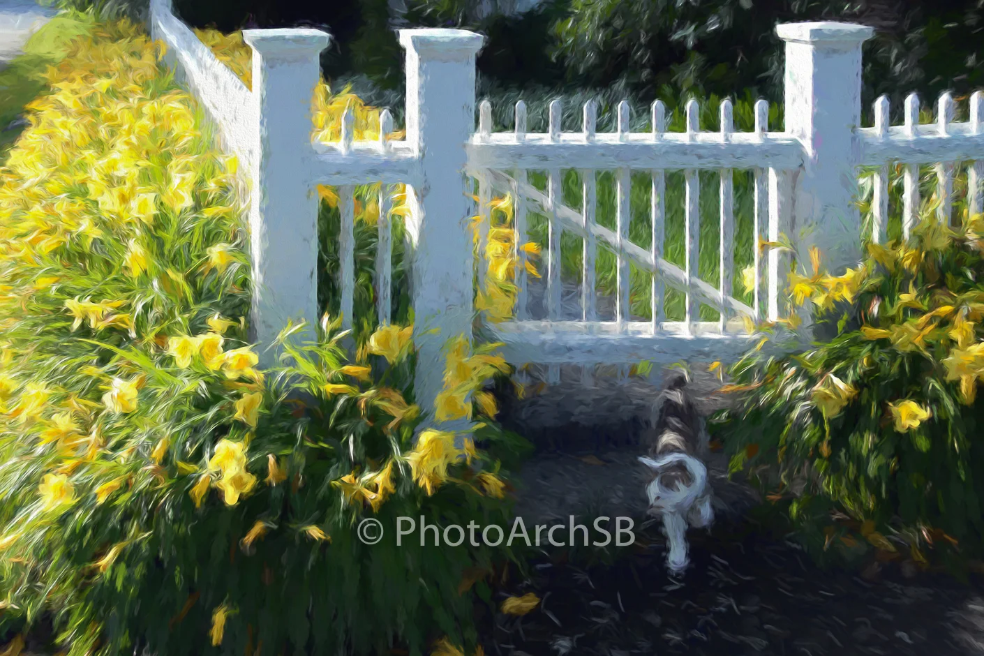 Woodstock Cat