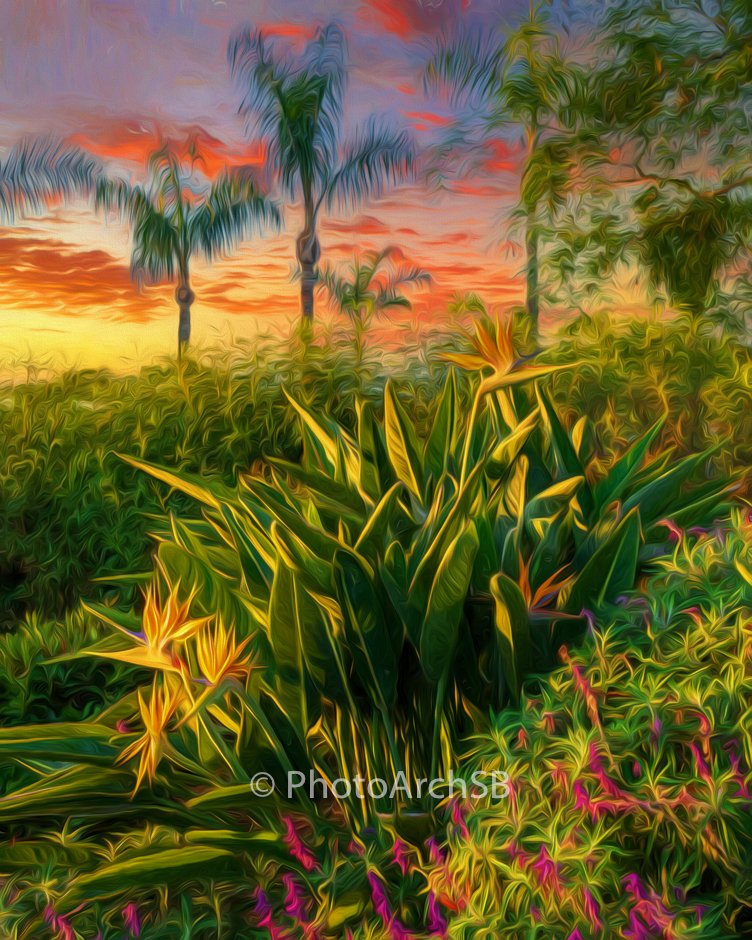 Bird of Paradise Sunrise
