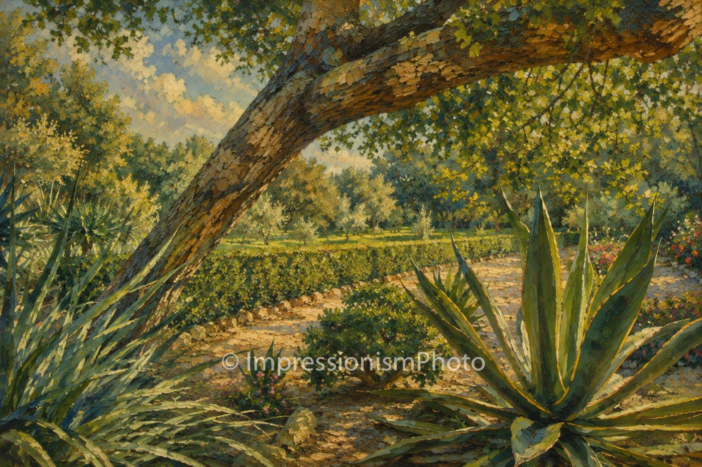 Cactus I