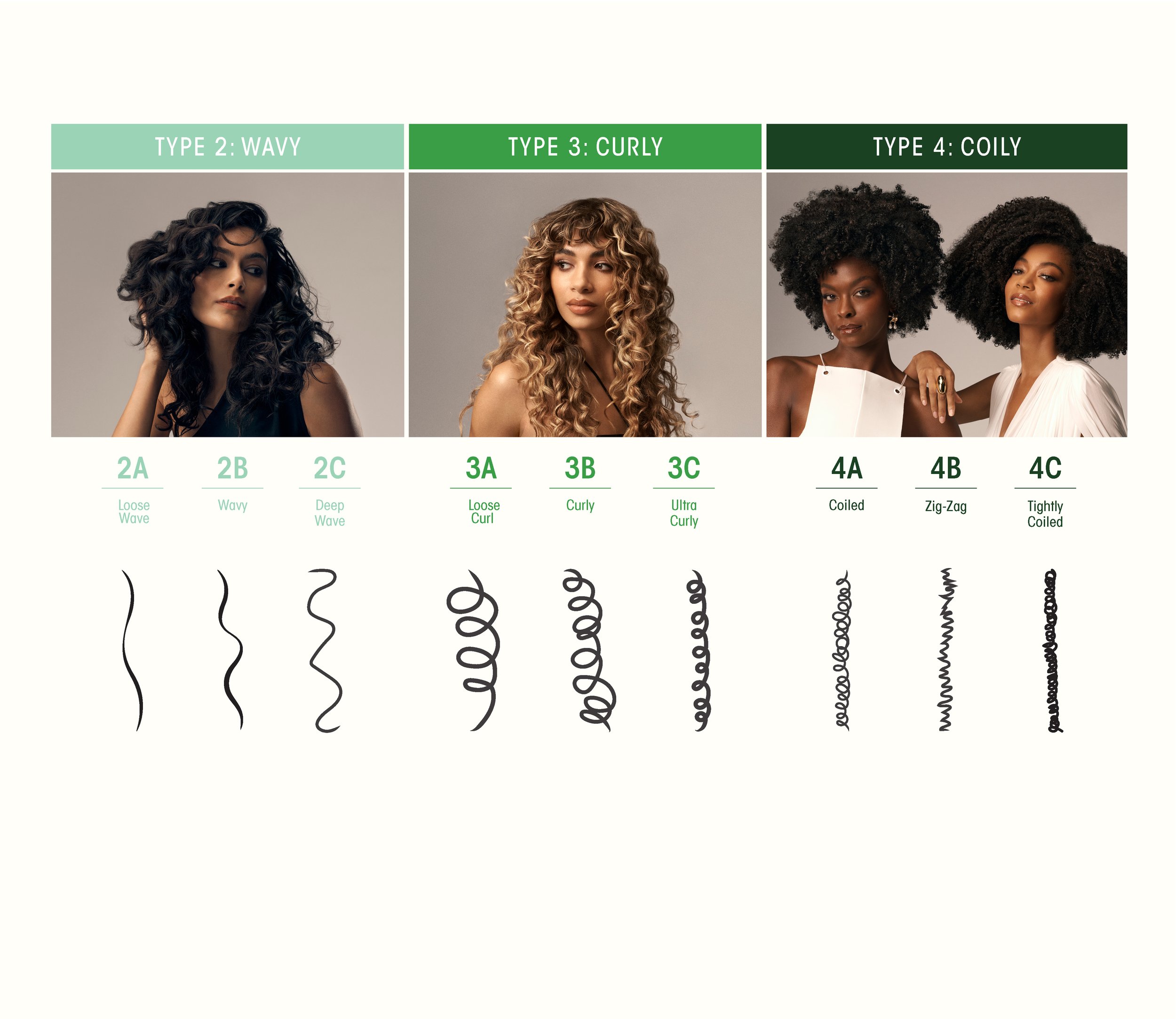 Curl Chart all_final5.jpg