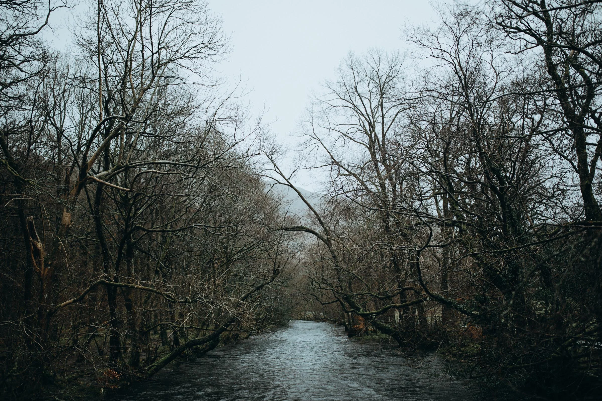 lakedistrict1.jpg