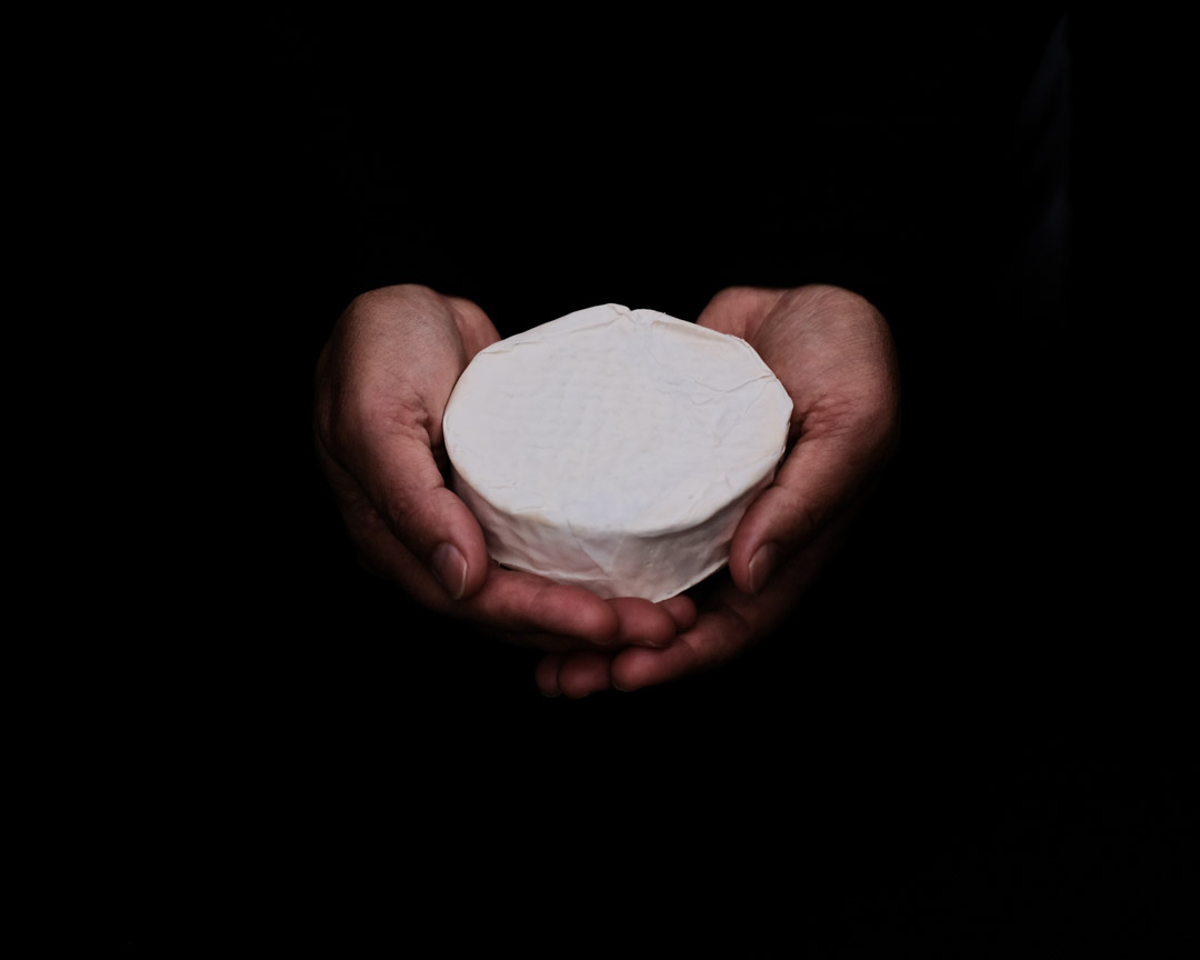 brie in hands2.jpg