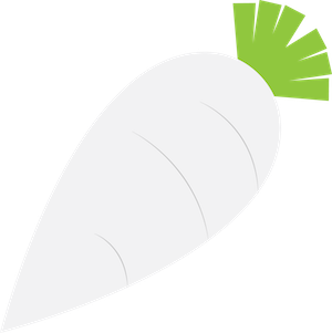 daikon_only.png