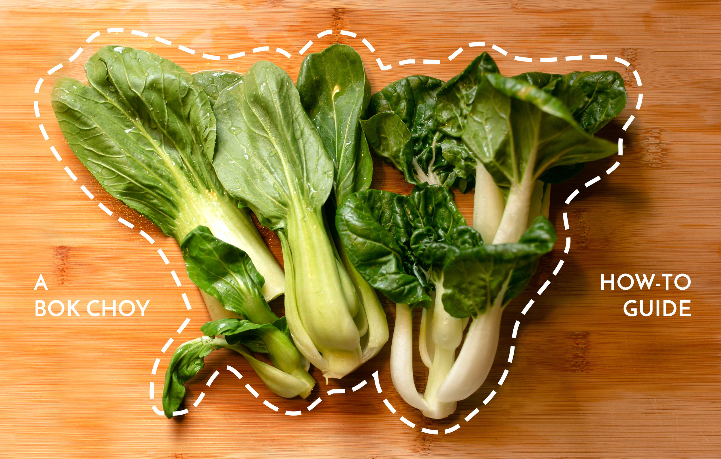 A Bok Choy How To Guide Food Roots