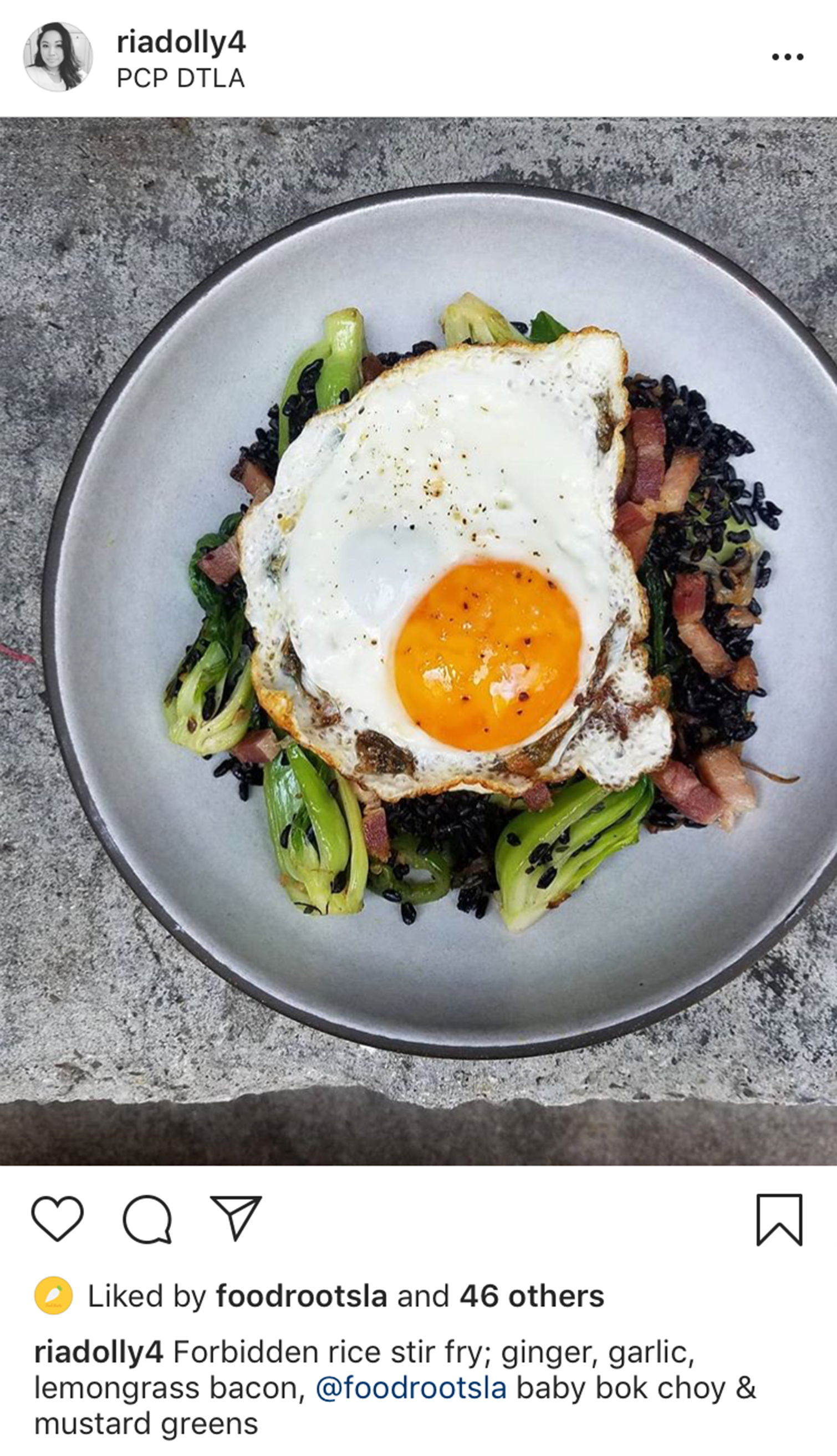 Ria_Instagram_BokChoy.png