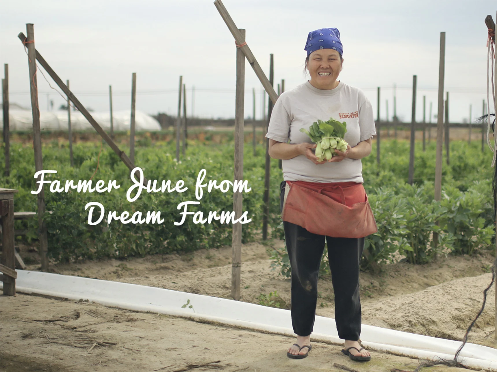 Farmer June (Short Film)