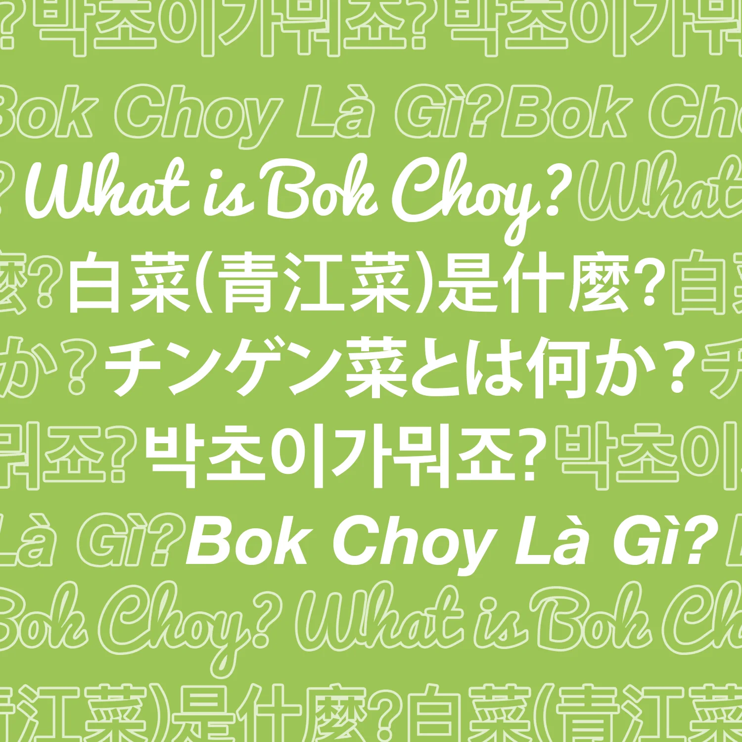 Bok Choy Infographics (Digital Link!)