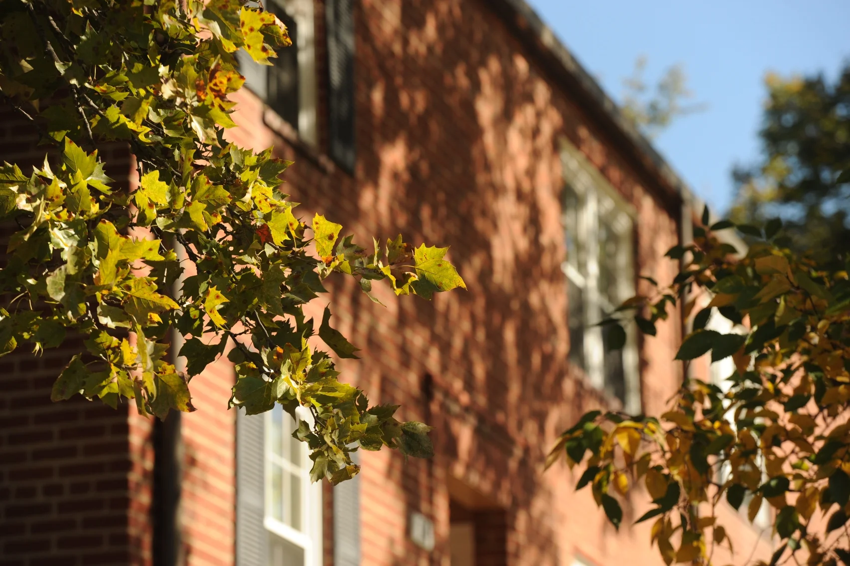 Alliance for Housing Solutions — Donate for Affordable Housing