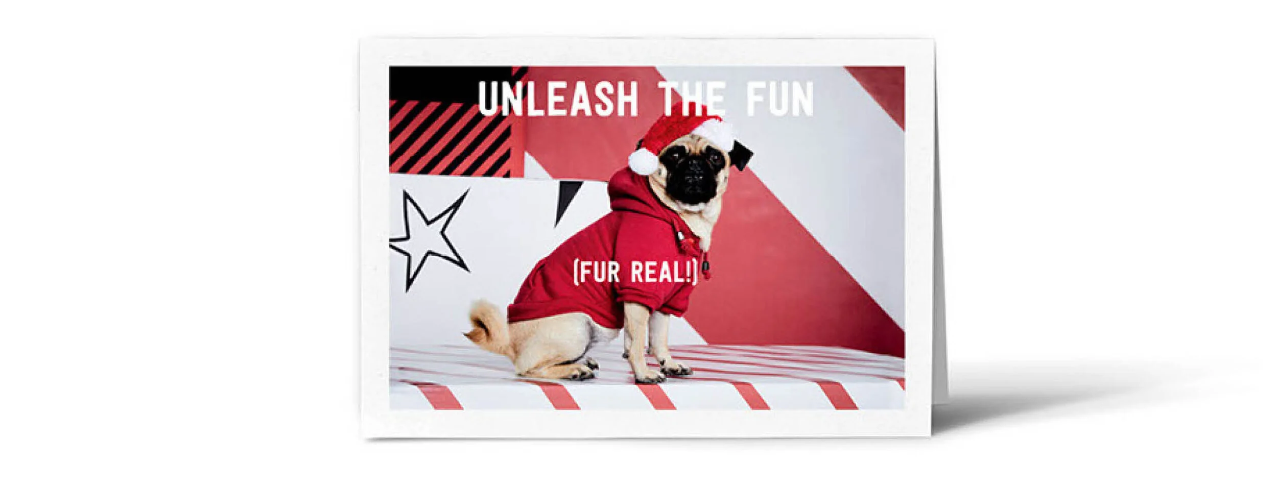 JS_C8_HolidayCampaign7.jpg
