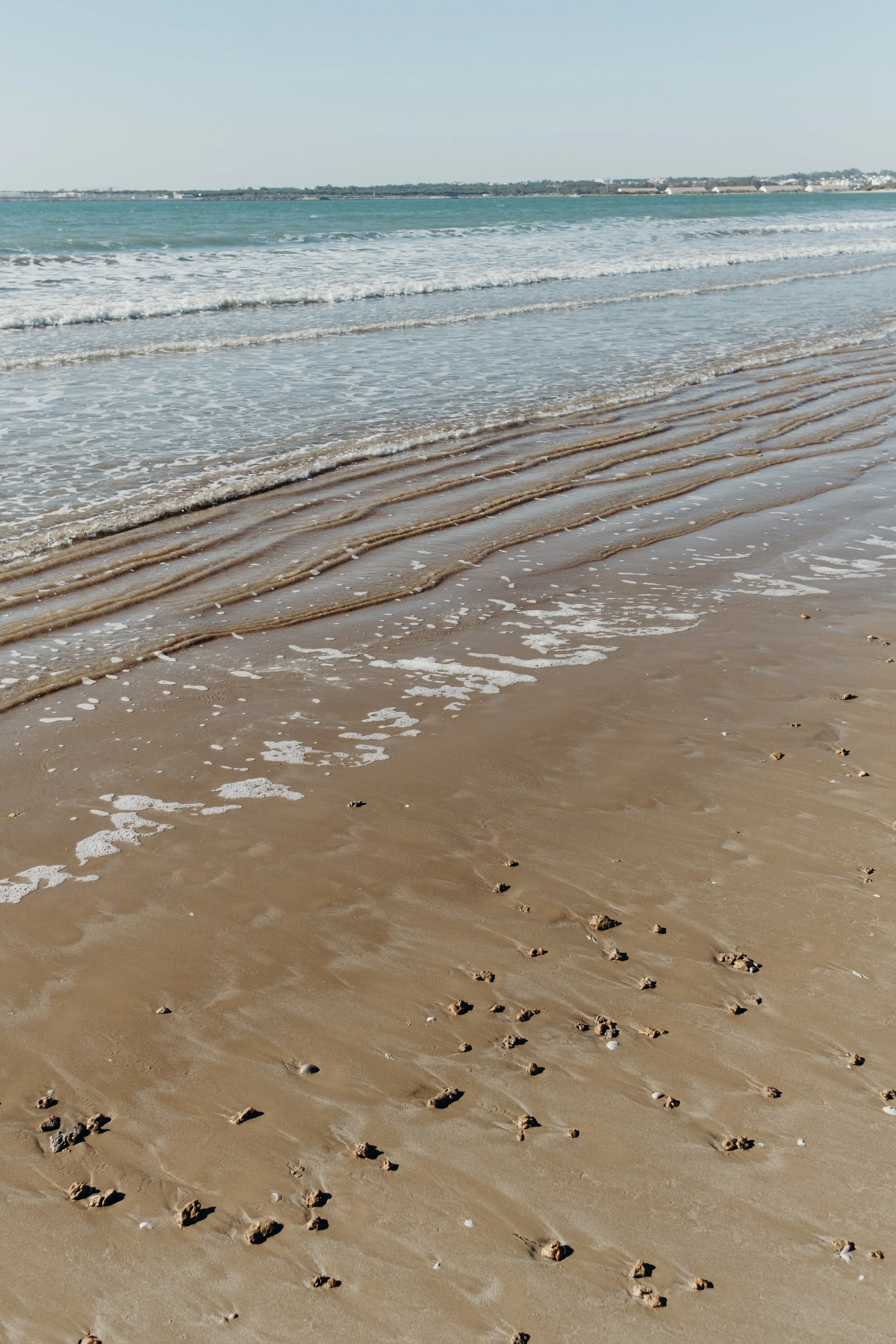 DSCF7220.jpg
