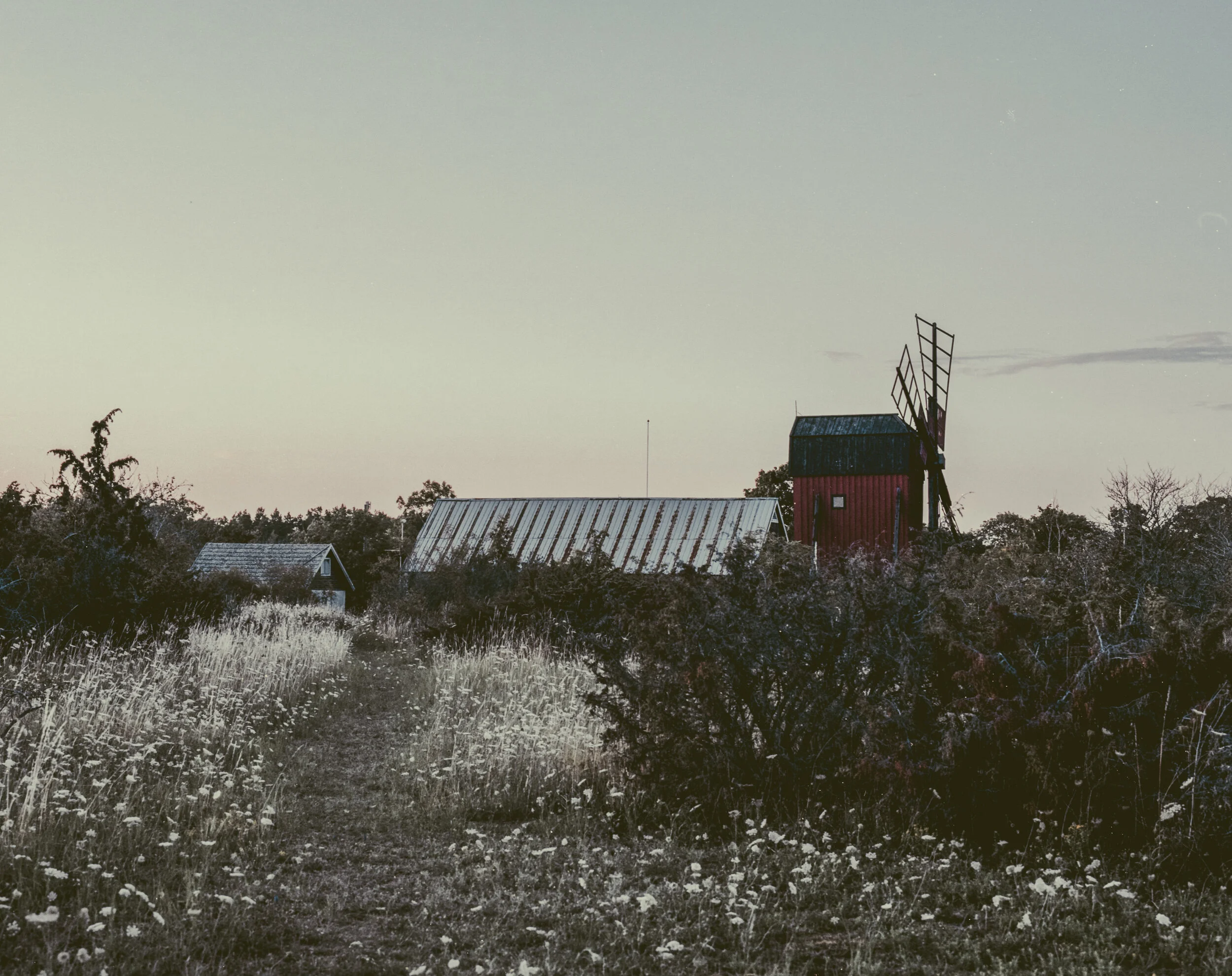 Ektar jul2020297-Redigera.jpeg