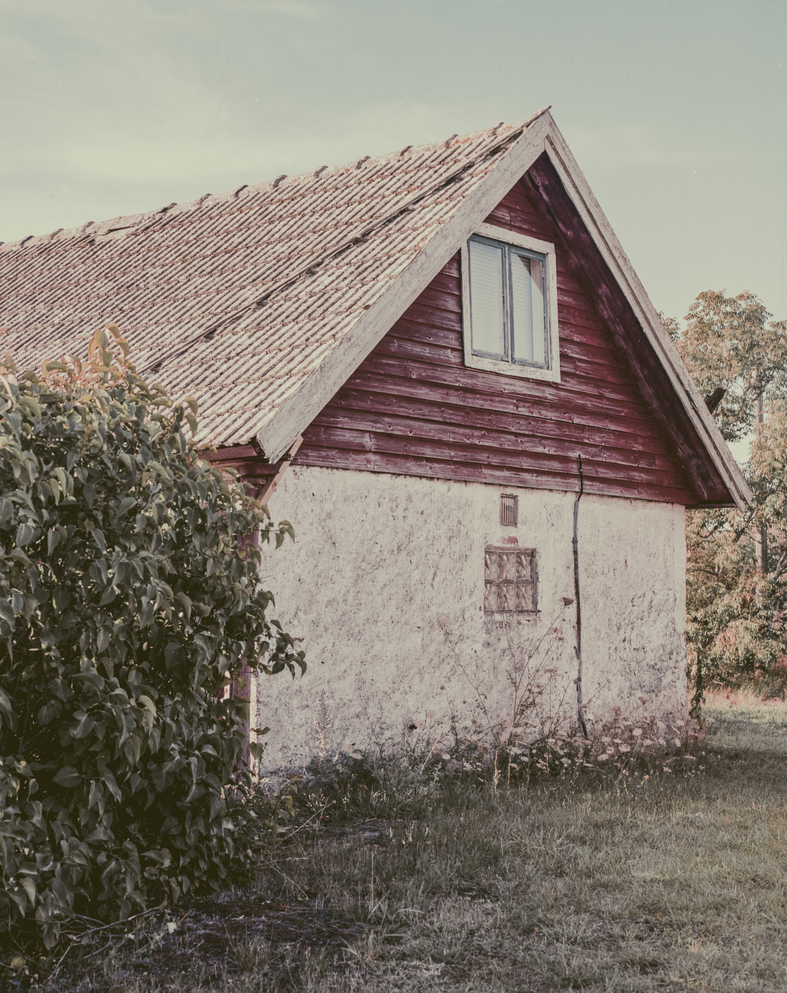 Ektar jul2020301.jpeg