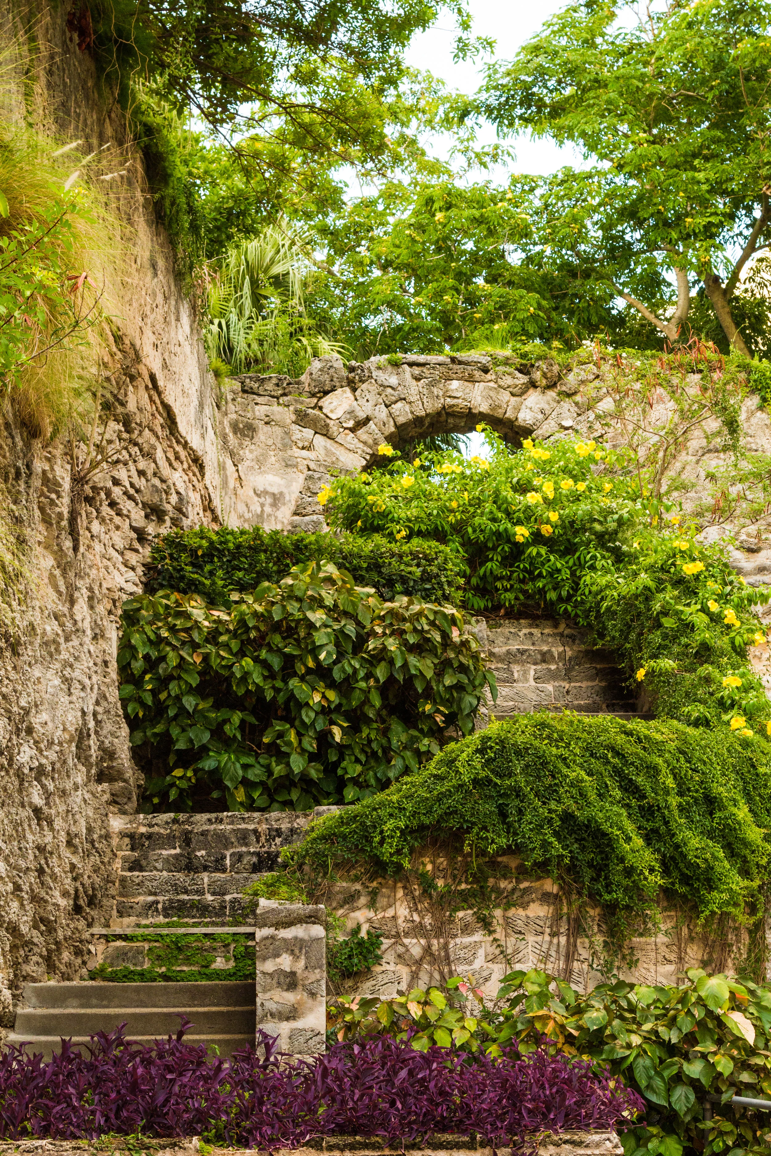 Secret Garden