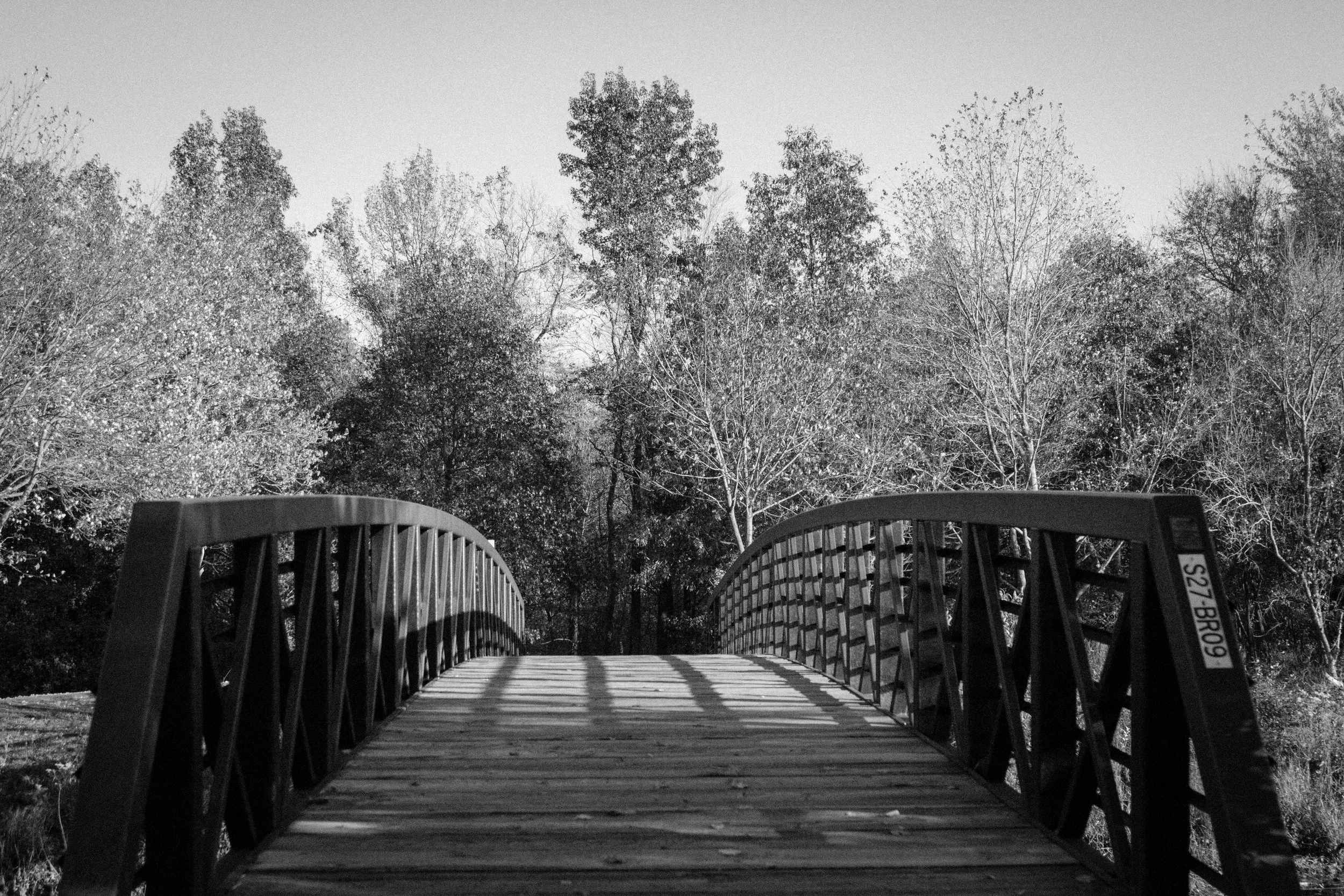 Foot Bridge