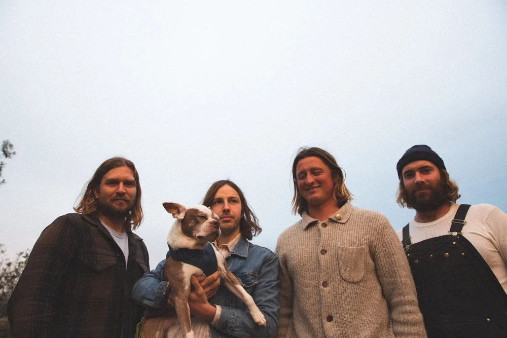 Gallery — Mapache
