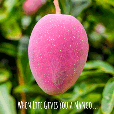 Social Content (Tumblr Page)