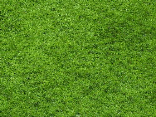 Social Media Content - Welcome Spring GIF