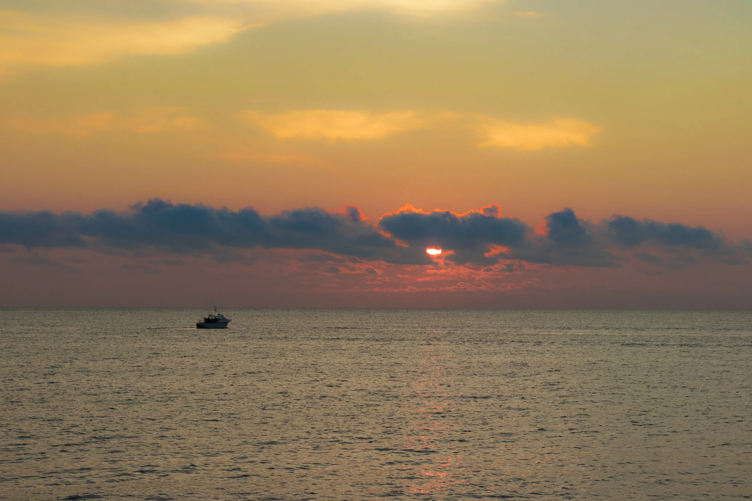 IMG_8863.jpg