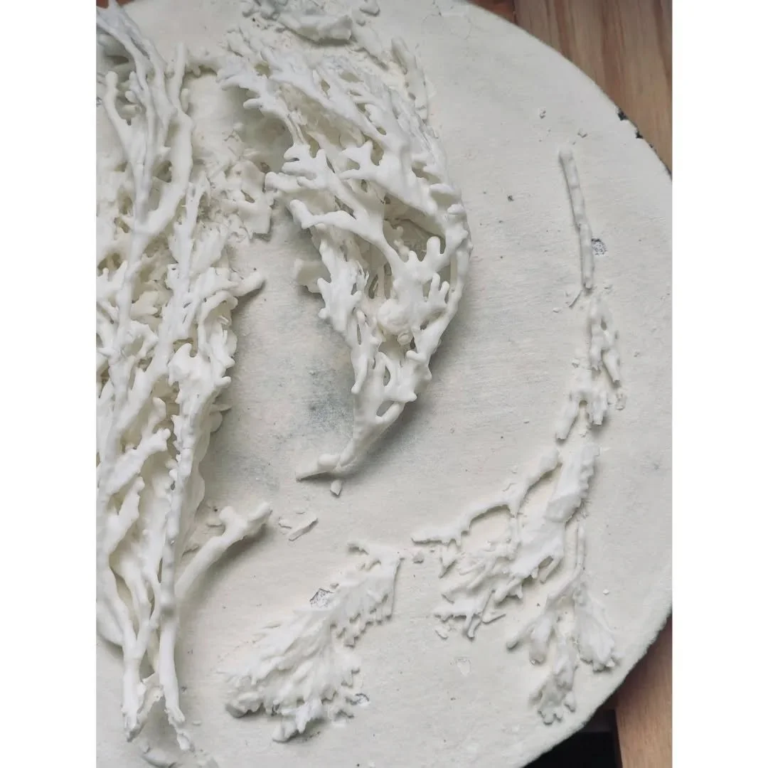 投稿したい写真ばかりが溜まっていく&hellip;。
実験や釉薬など、日々定番品以外も色々と作っています。

煙とか臭いの関係で長らく作れず、素材が沢山溜まってた"白の標本"を5.6年ぶりに作りました。
箱どうしようかなぁ。
.
.
.
.
.
#ceramics #keramik
#comtemporaryceramics
#kanamitakedaceramics
#shippingworldwide