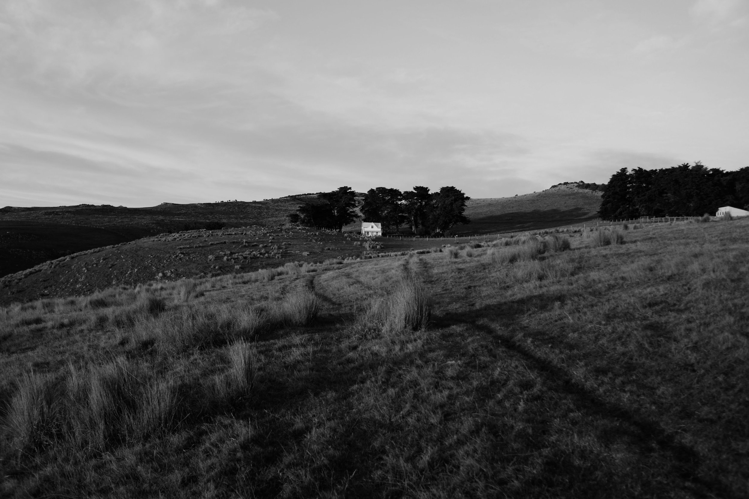 DSCF2335.jpg