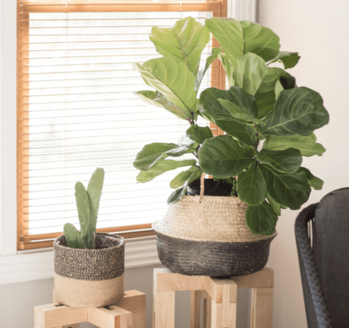 20 Indoor Plant Pot Ideas Trendy Unique Crazy The Houseplant Urban Jungle Blog